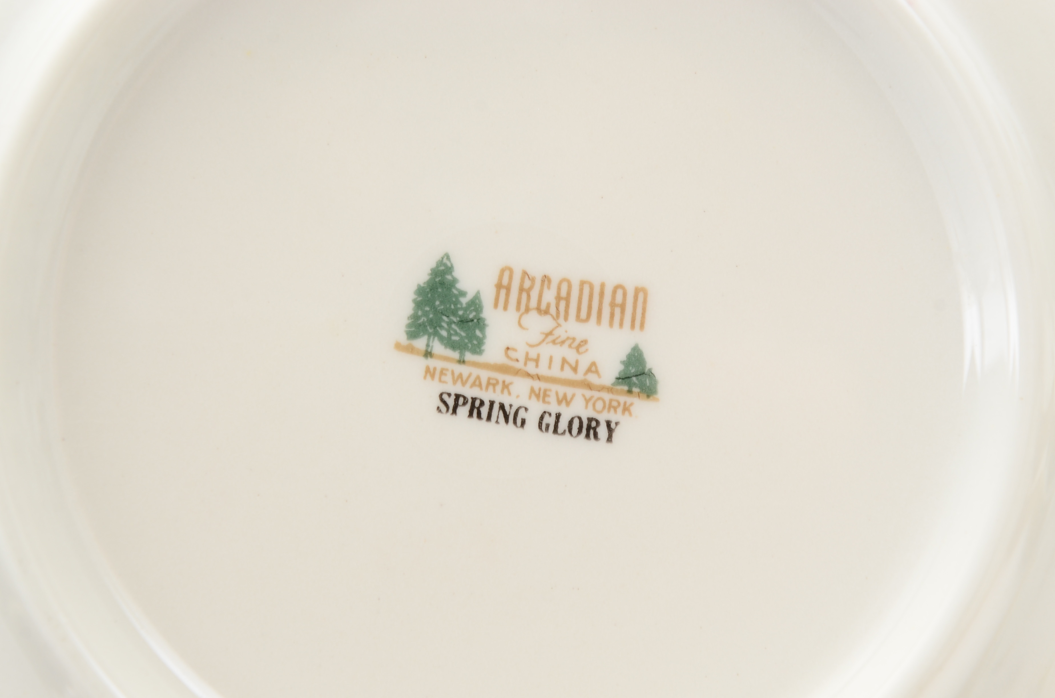 Arcadian Fine China "Spring Glory" China Set
