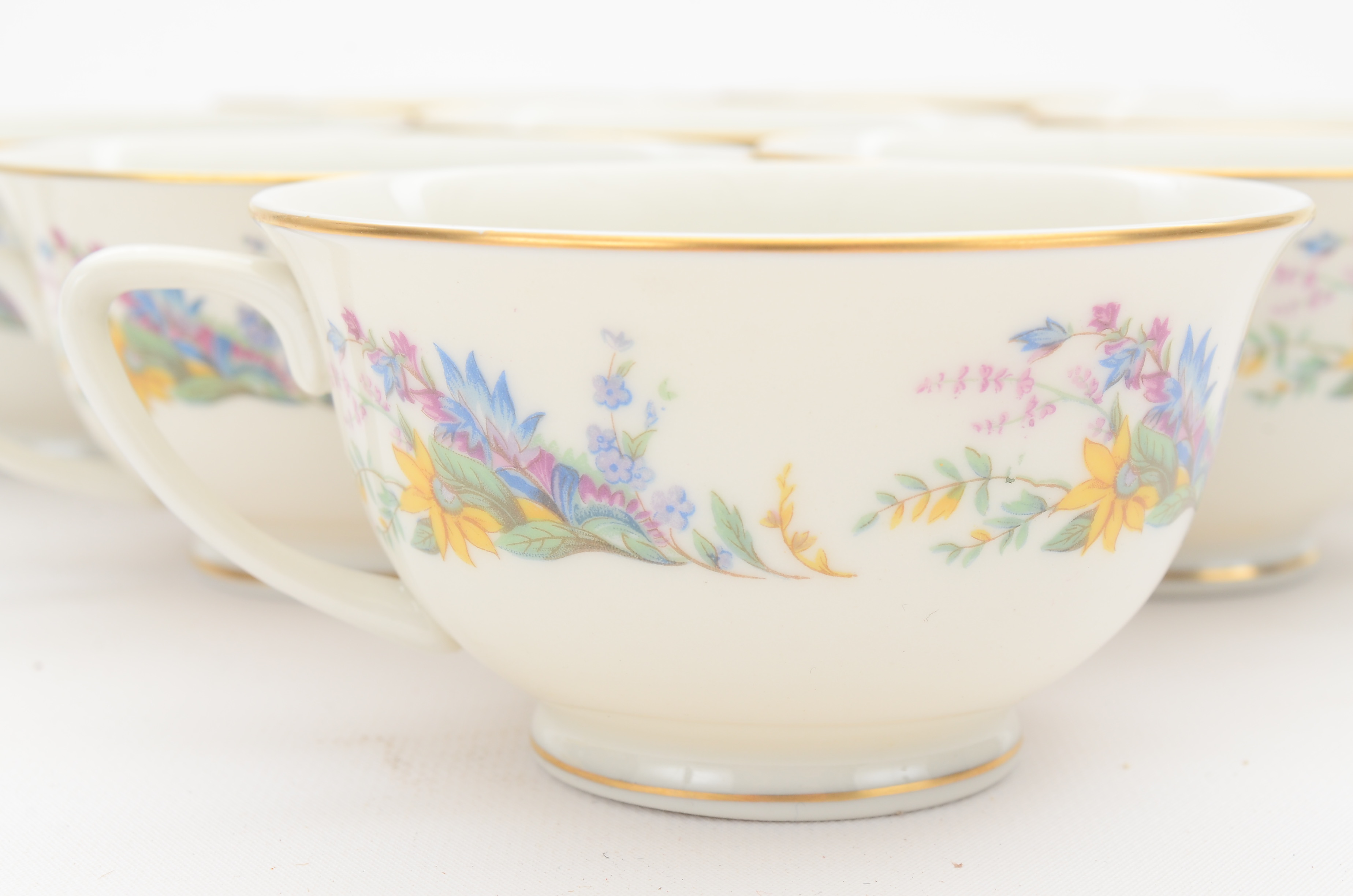 Arcadian Fine China "Spring Glory" China Set