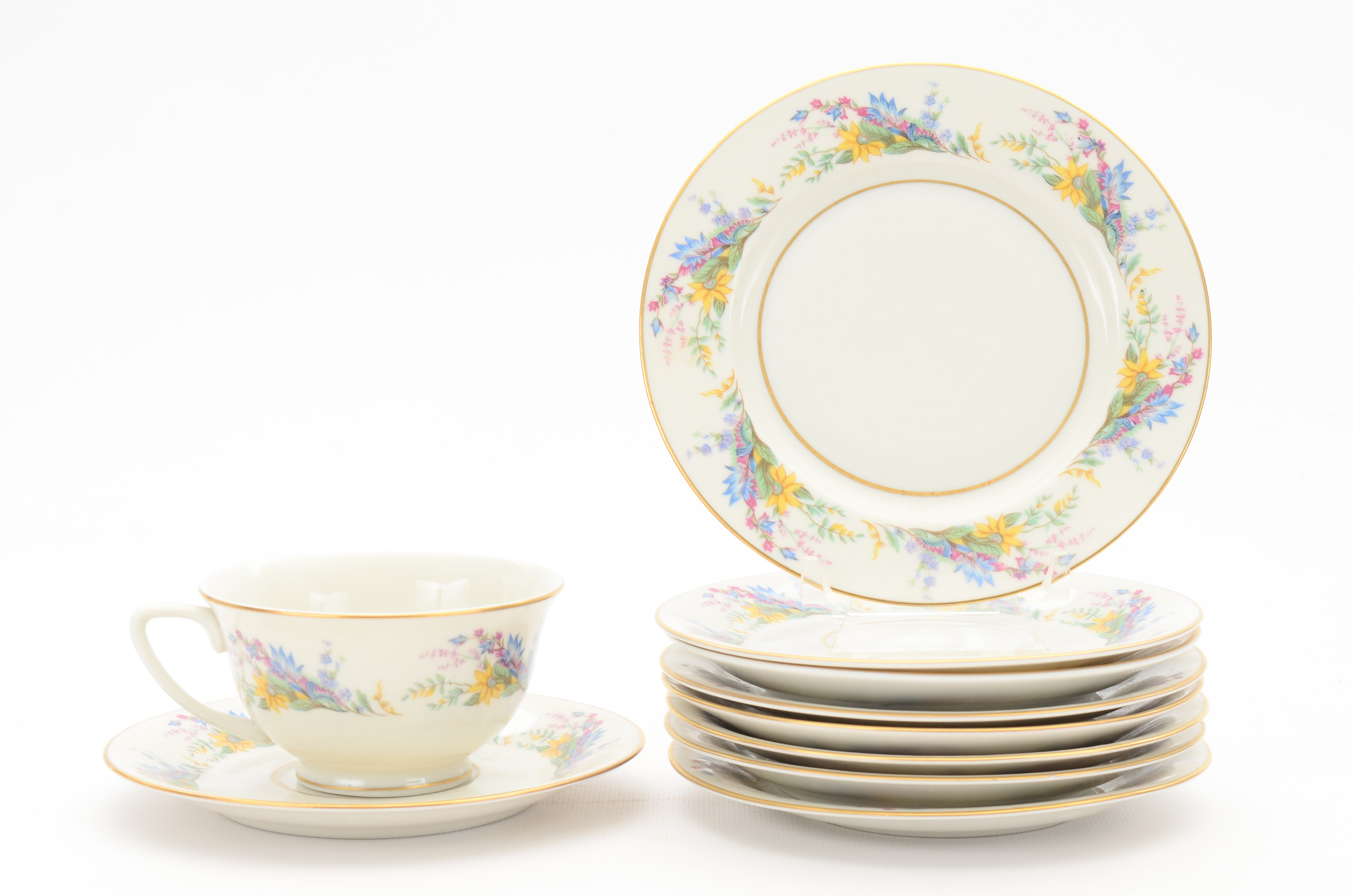 Arcadian Fine China "Spring Glory" China Set