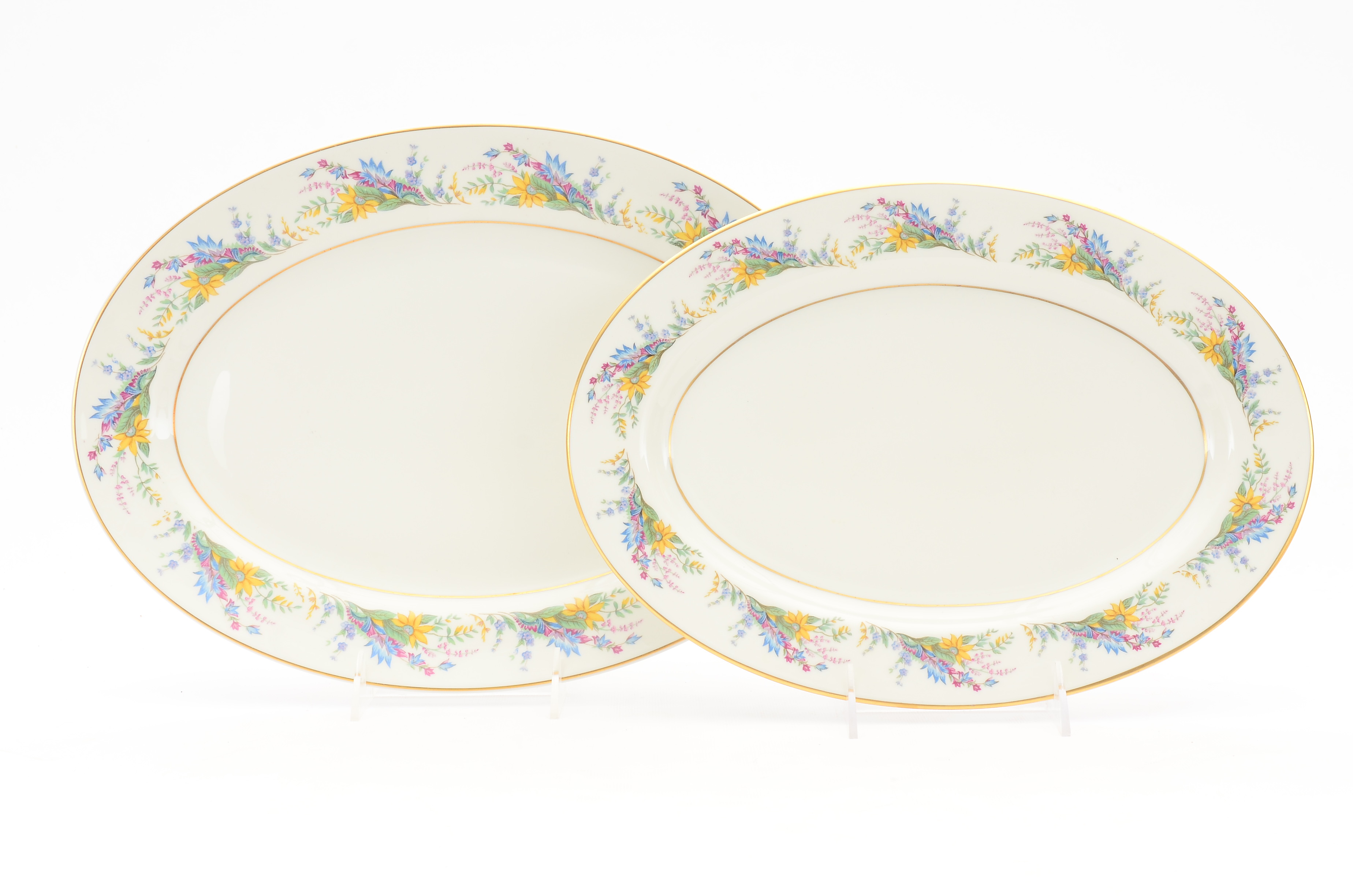 Arcadian Fine China "Spring Glory" China Set