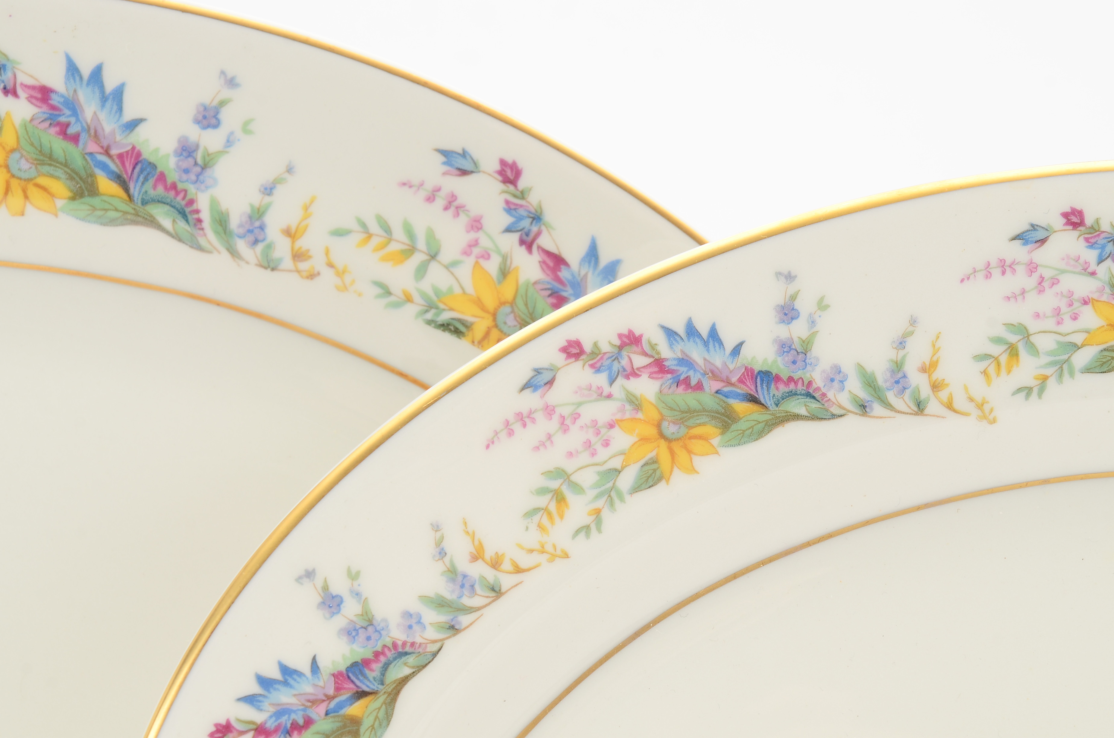 Arcadian Fine China "Spring Glory" China Set