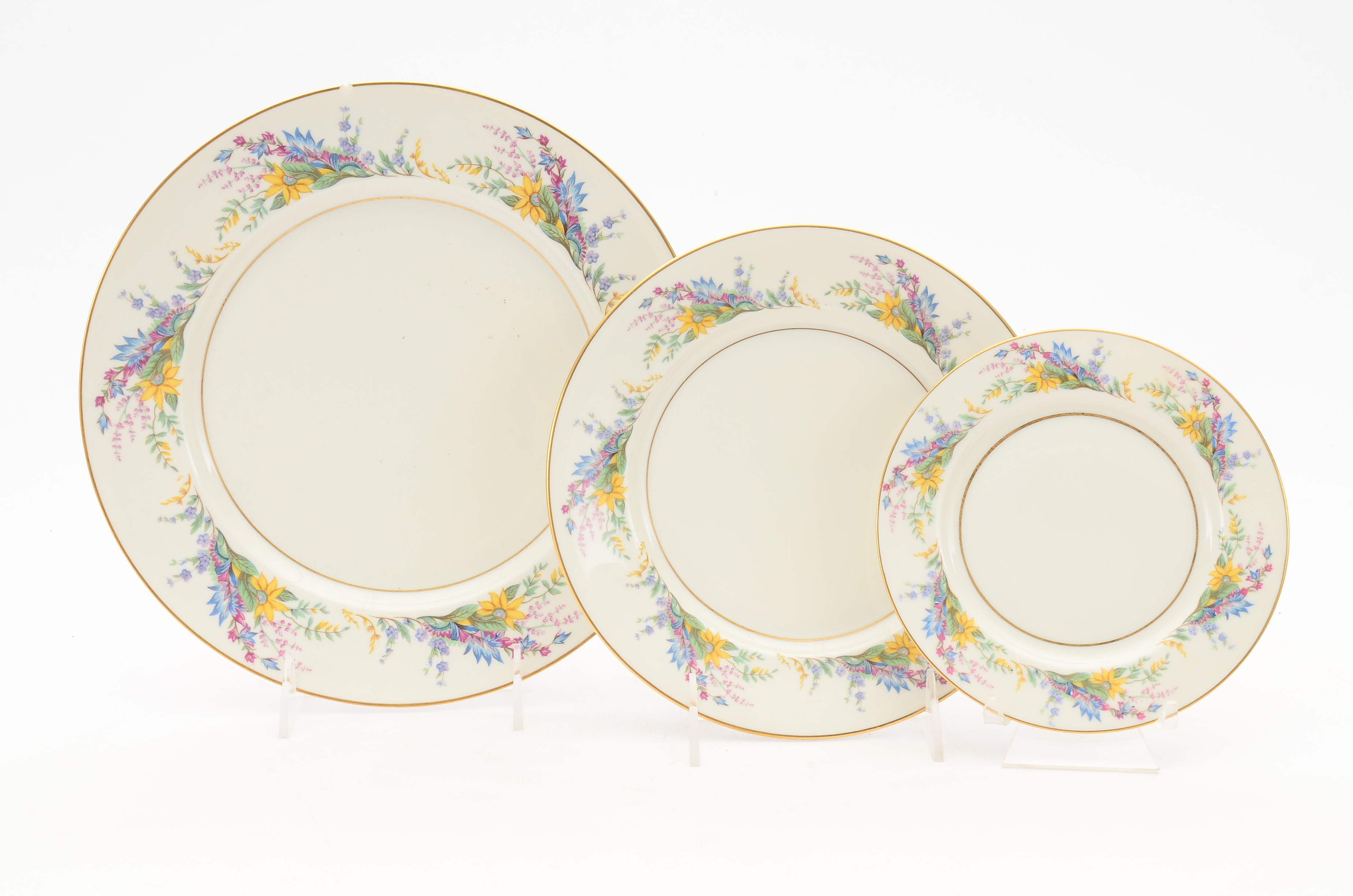 Arcadian Fine China "Spring Glory" China Set