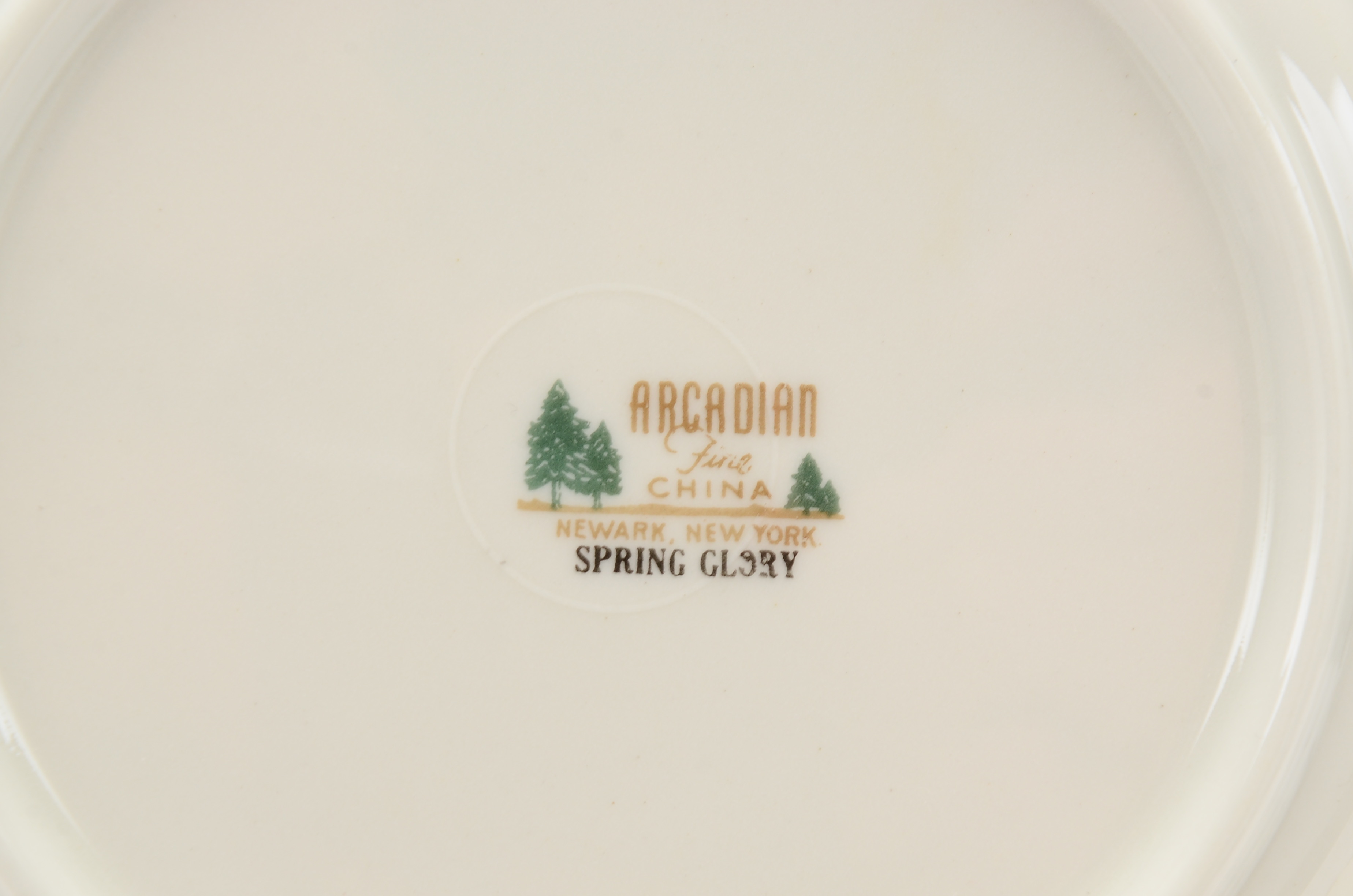 Arcadian Fine China "Spring Glory" China Set