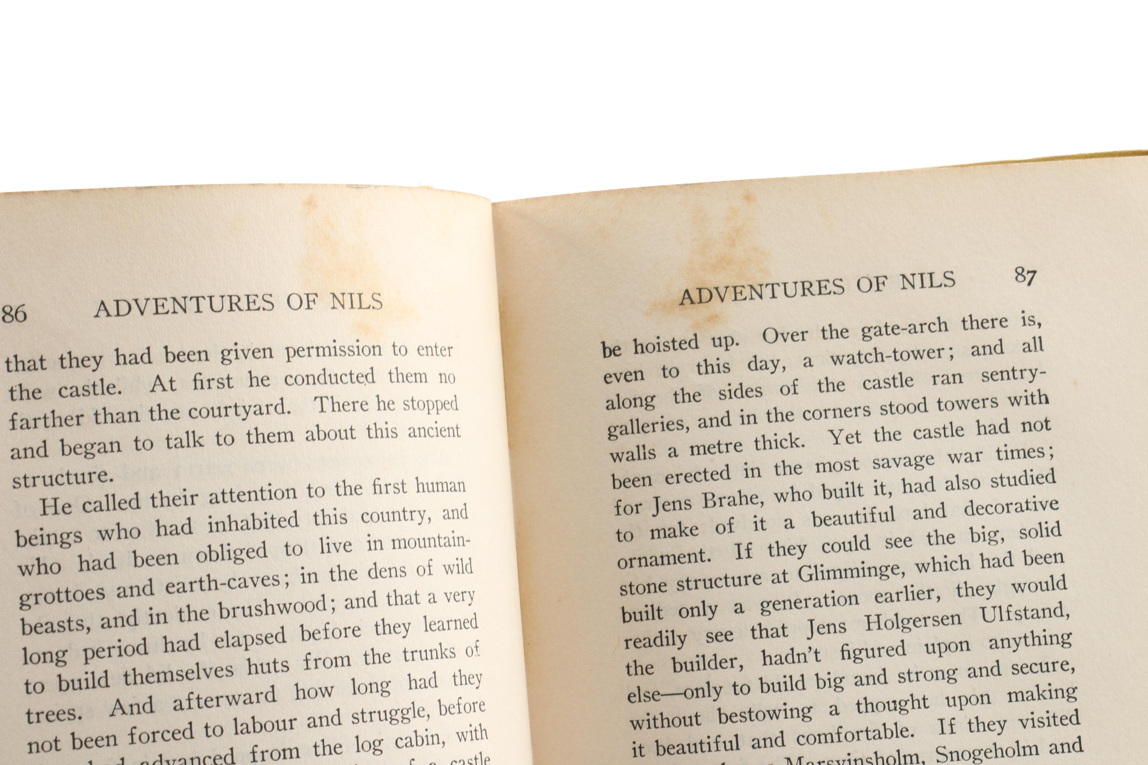 1907 "The Adventures of Nils" by Selma Lagerlöf