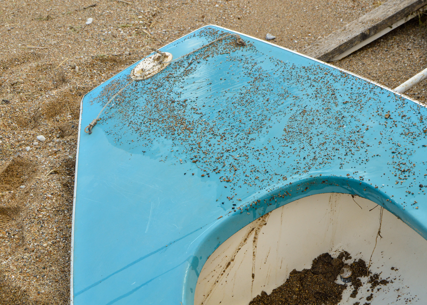 Vintage Alcort Sunfish Personal Sailboat