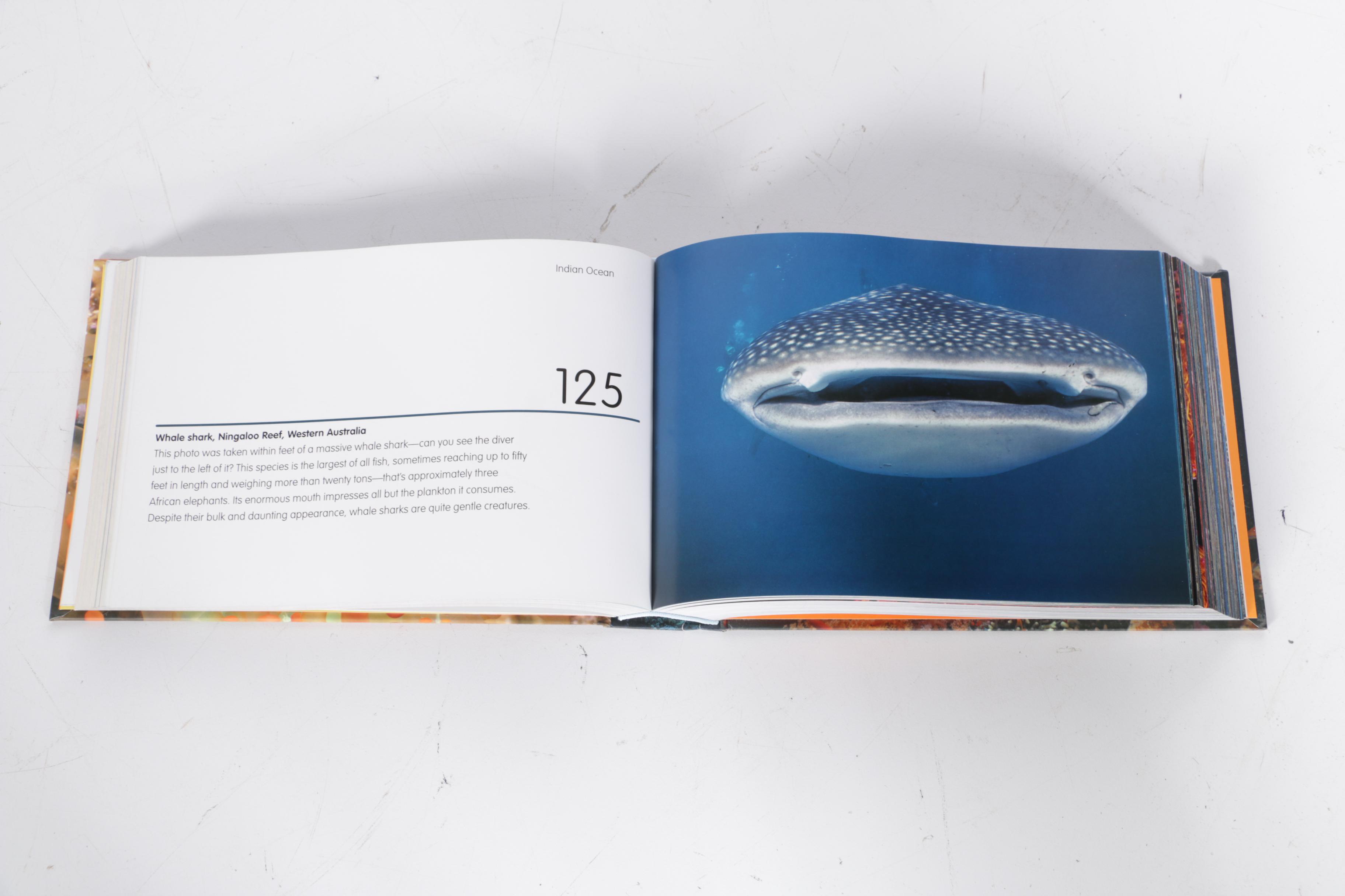 Free Diving and Scuba Diving Books with Weights and Accessories