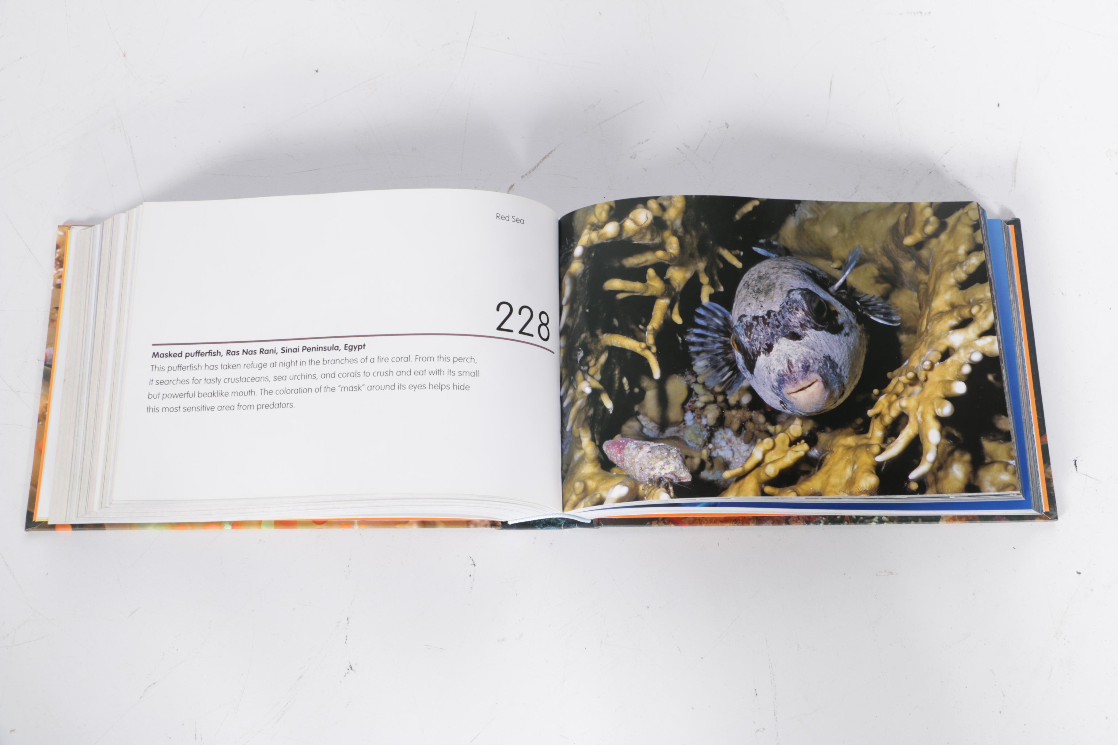 Free Diving and Scuba Diving Books with Weights and Accessories