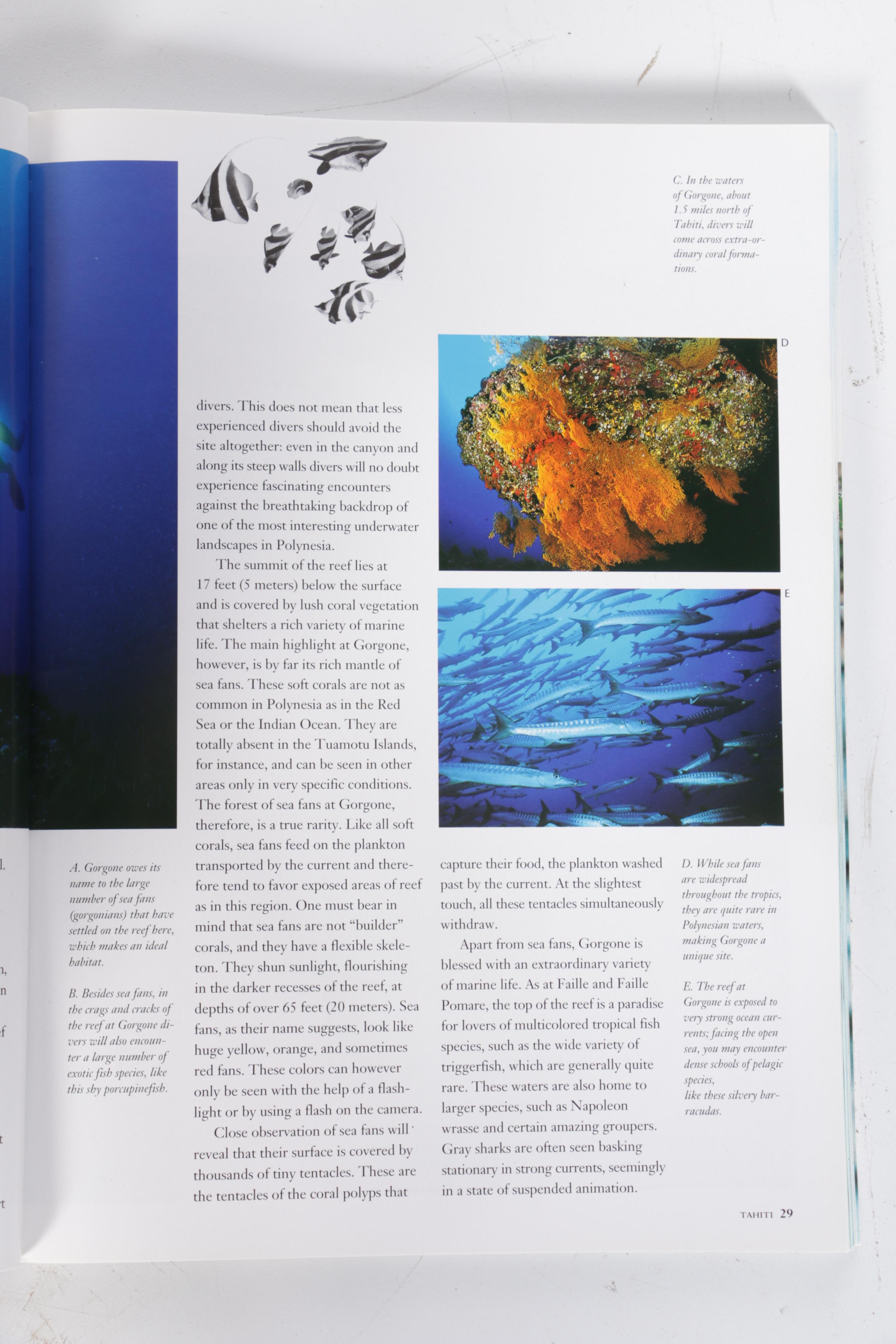 Free Diving and Scuba Diving Books with Weights and Accessories