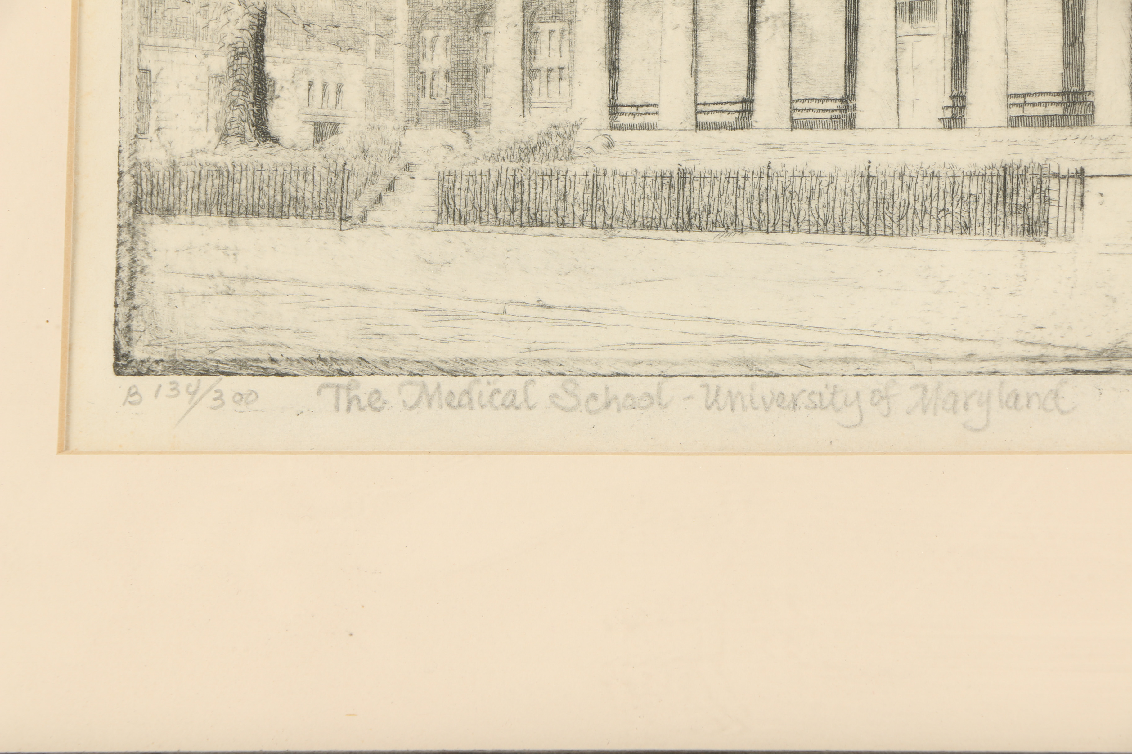 Don Swann Etching "The Medical School - University of Maryland"