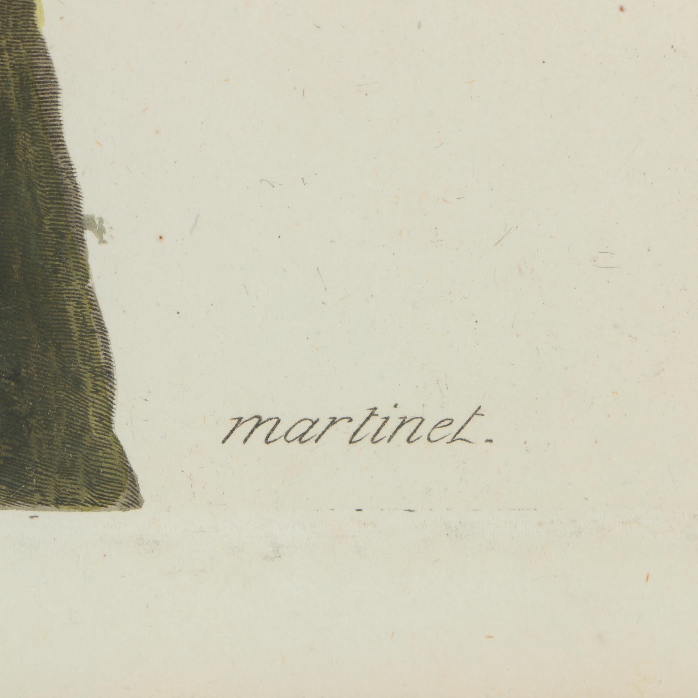 Hand-Colored Engraving of Woodpecker After Martinet "Le Pic Verd"