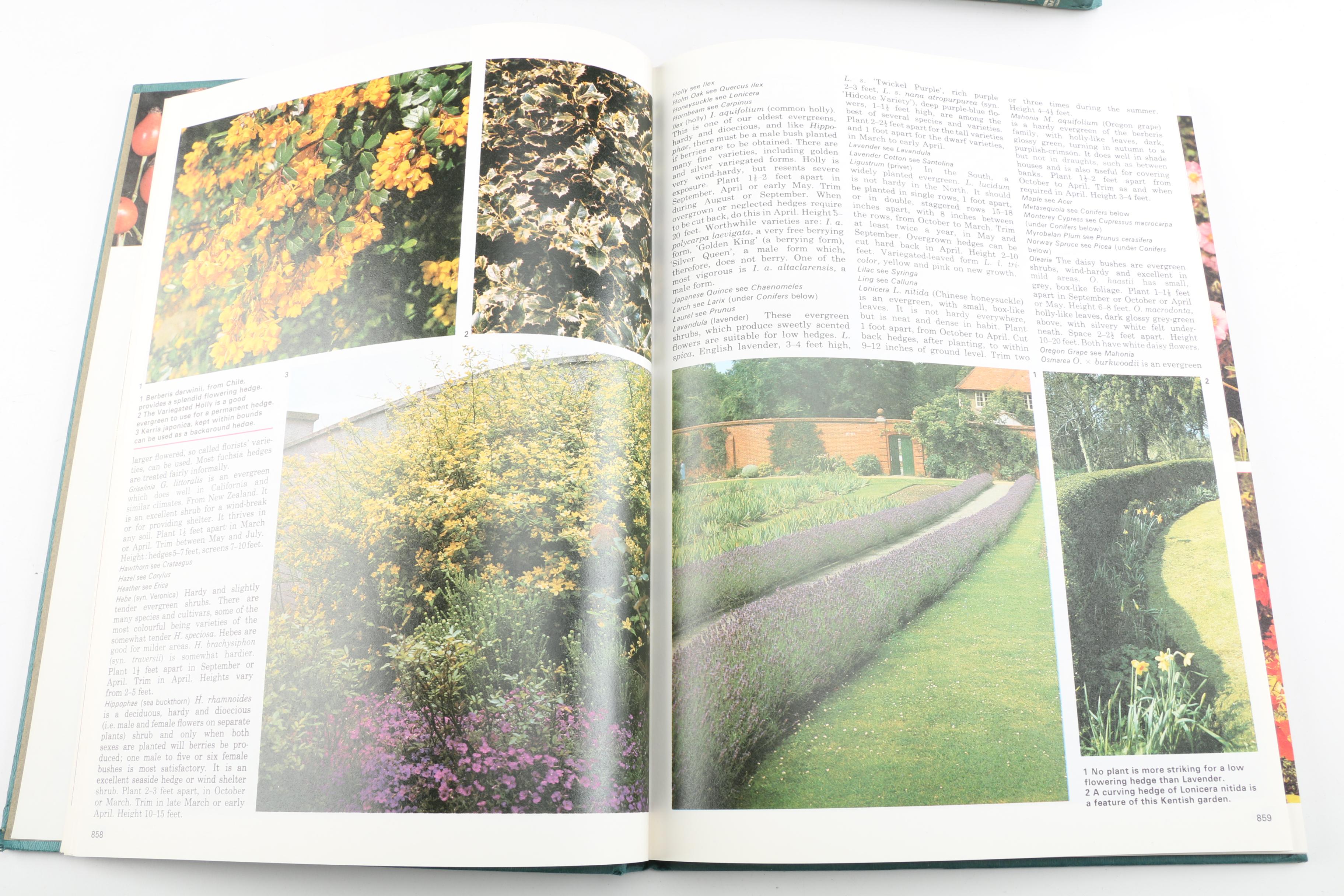"Encyclopedia of Gardening" Volumes 1-20