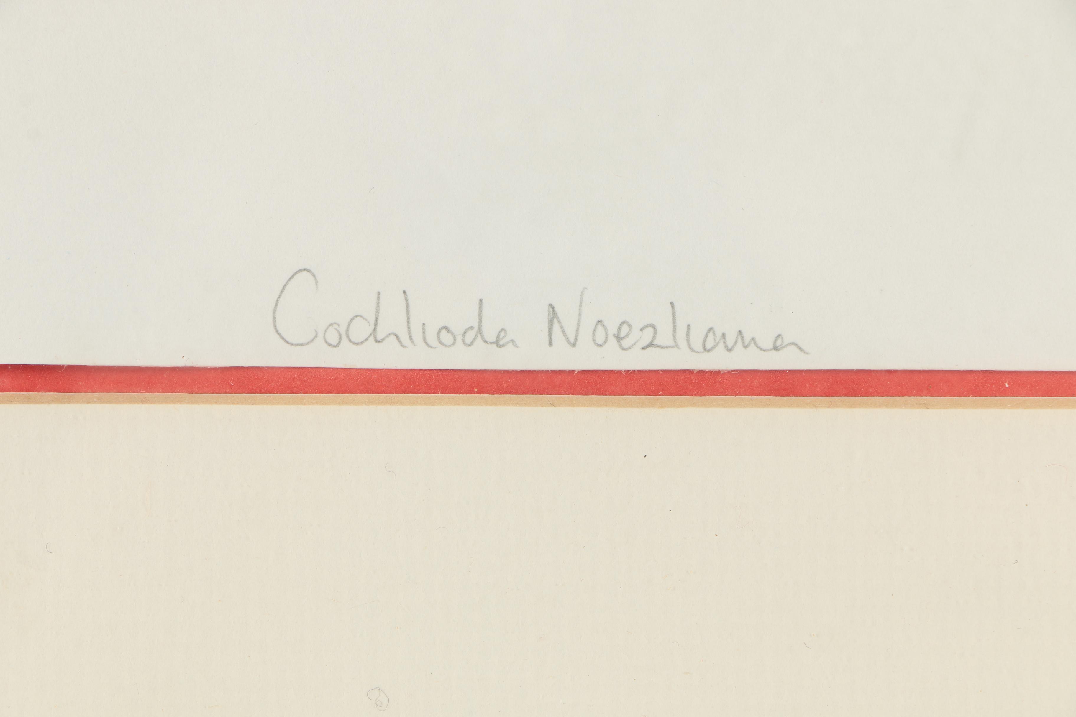 1996 Limited Edition Offset Lithograph of Orchid "Cochlioda Noezliana"