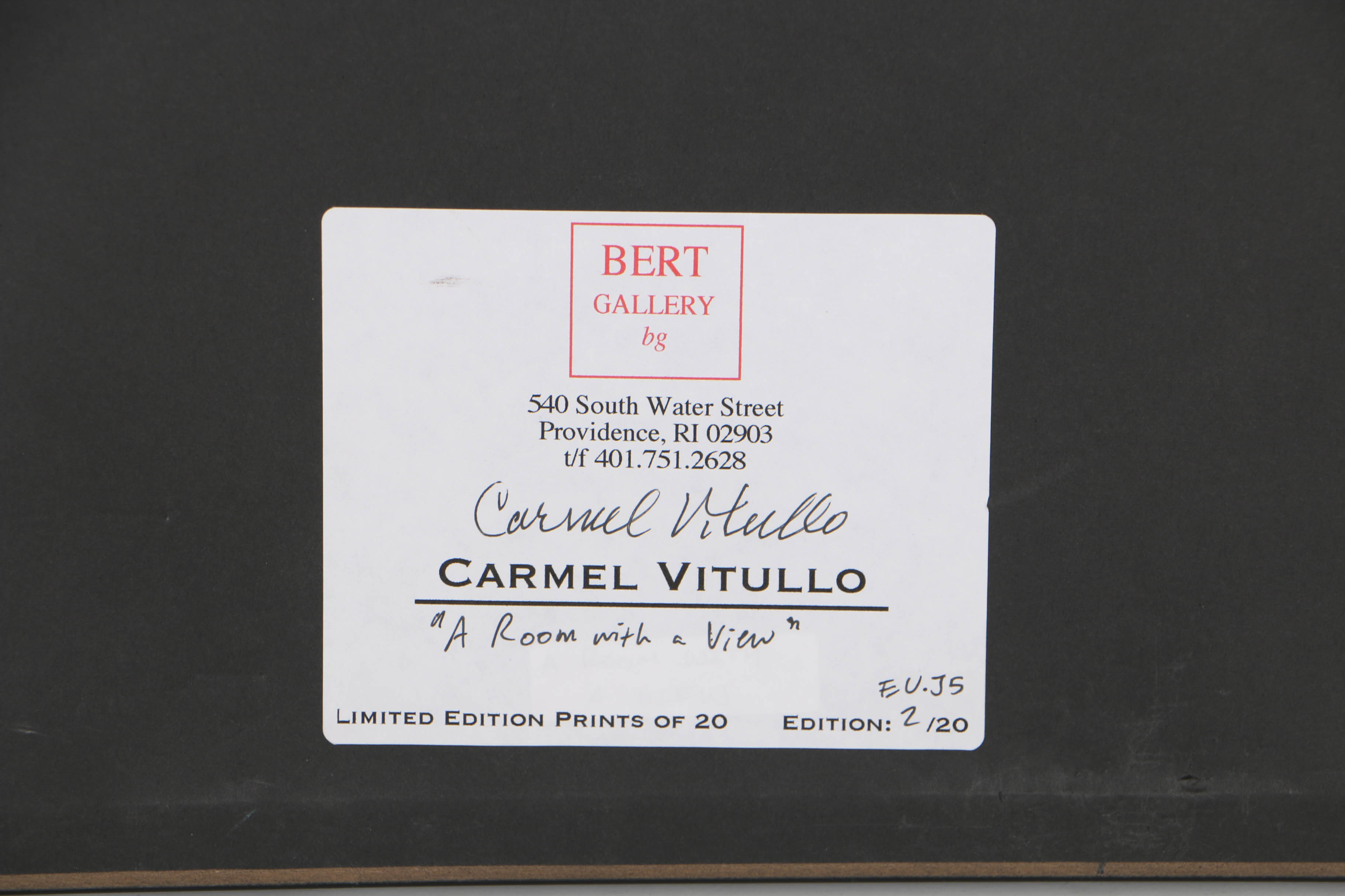 Carmel Vitullo Limited Edition Photograph Print "A Room with a View"
