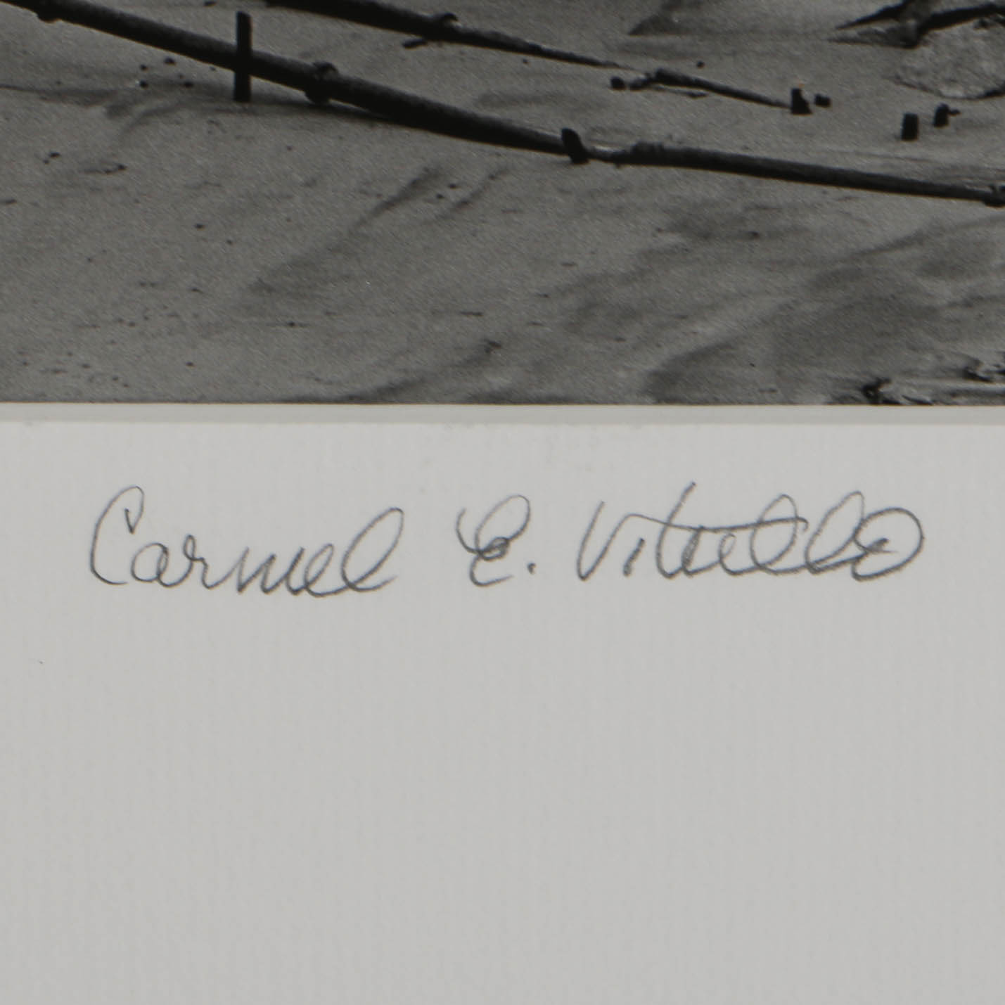 Carmel Vitullo Limited Edition Photograph Print "Mid-day Harbor"