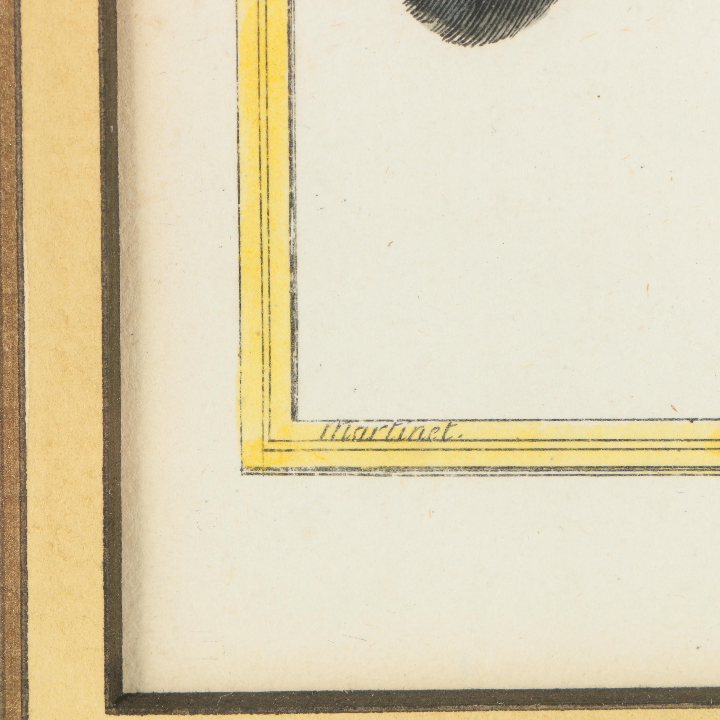 Hand-Colored Engravings After Martinet from "Histoire Naturelle des Oiseaux"