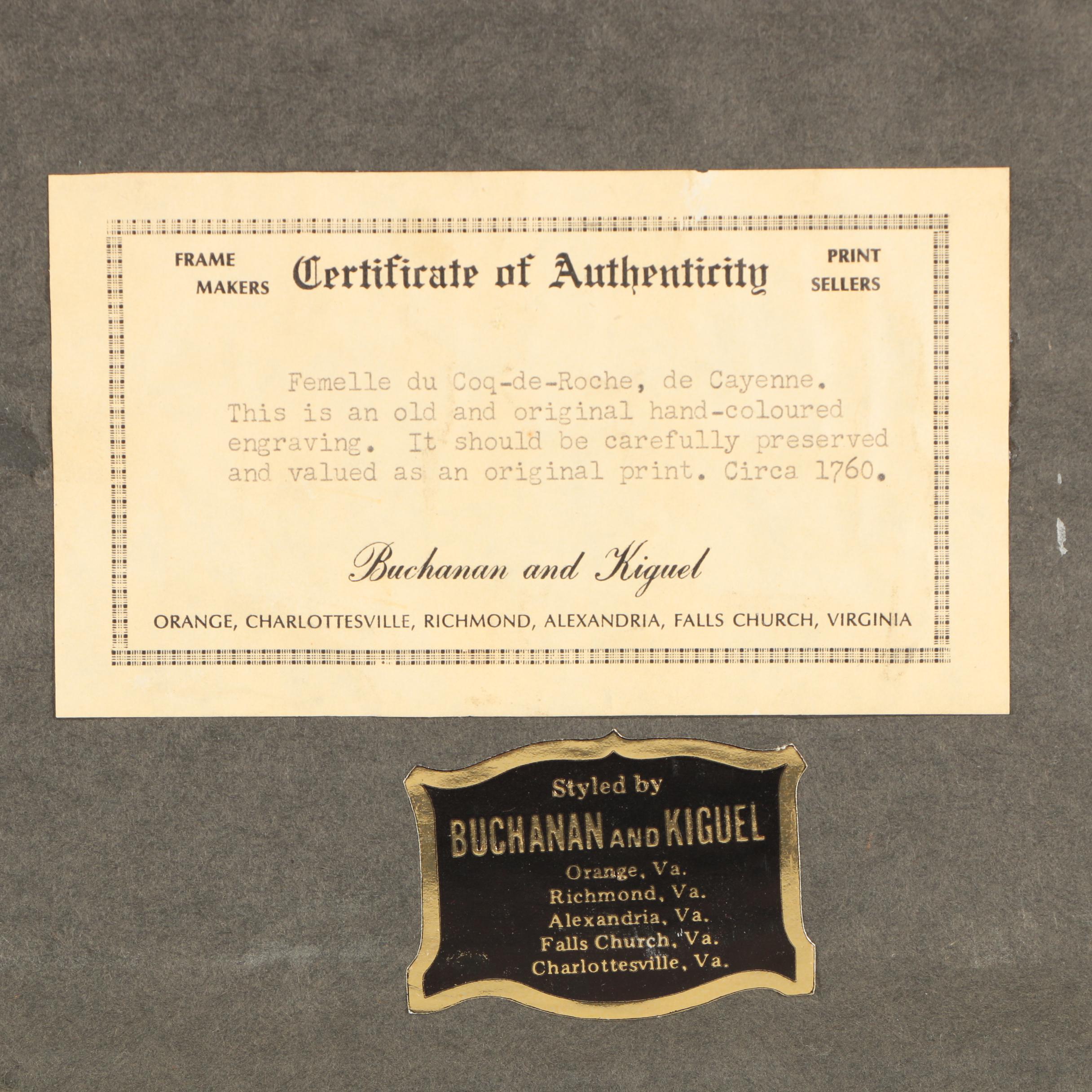 Hand-Colored Engravings After Martinet from "Histoire Naturelle des Oiseaux"