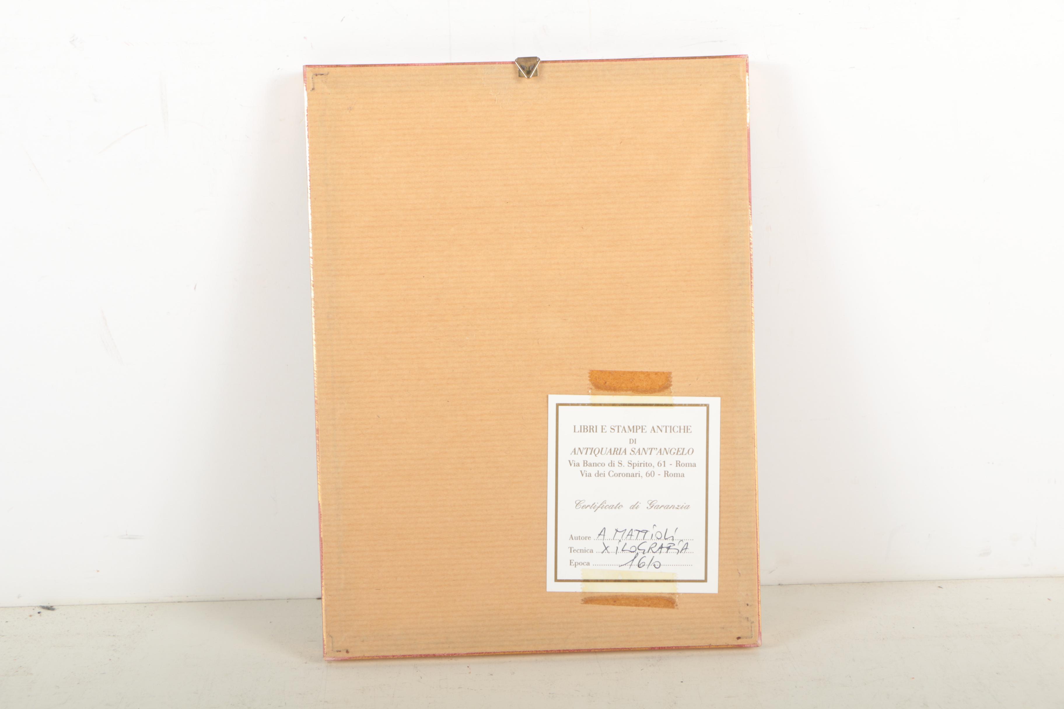 Hand Colored Woodcut After Pietro Andrea Mattioli Botanical Prints