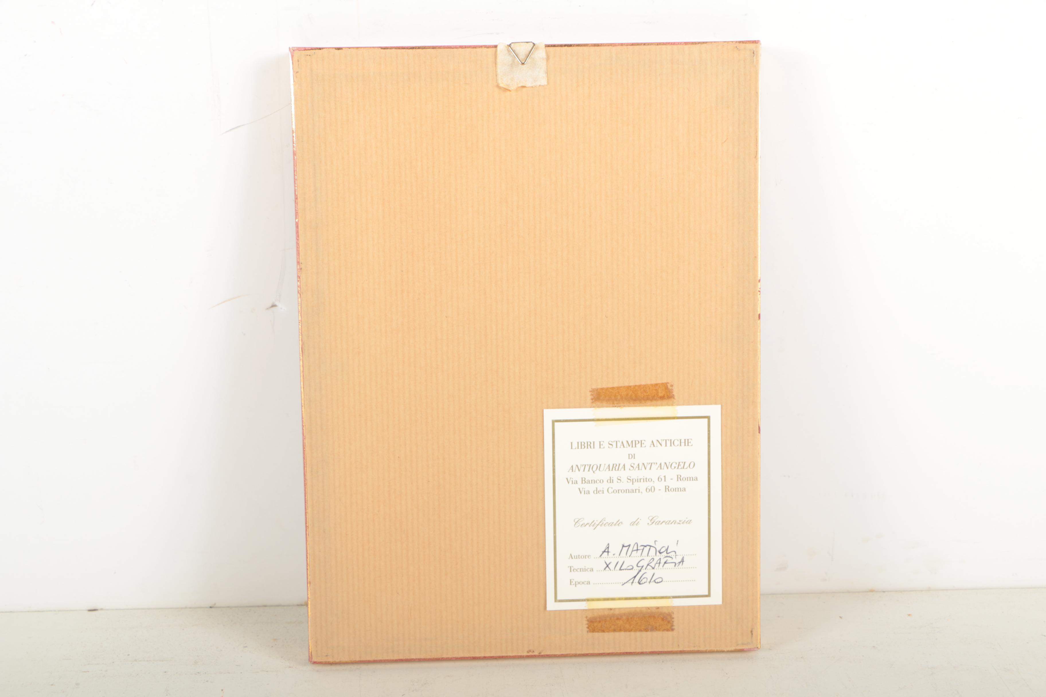 Hand Colored Woodcut After Pietro Andrea Mattioli Botanical Prints