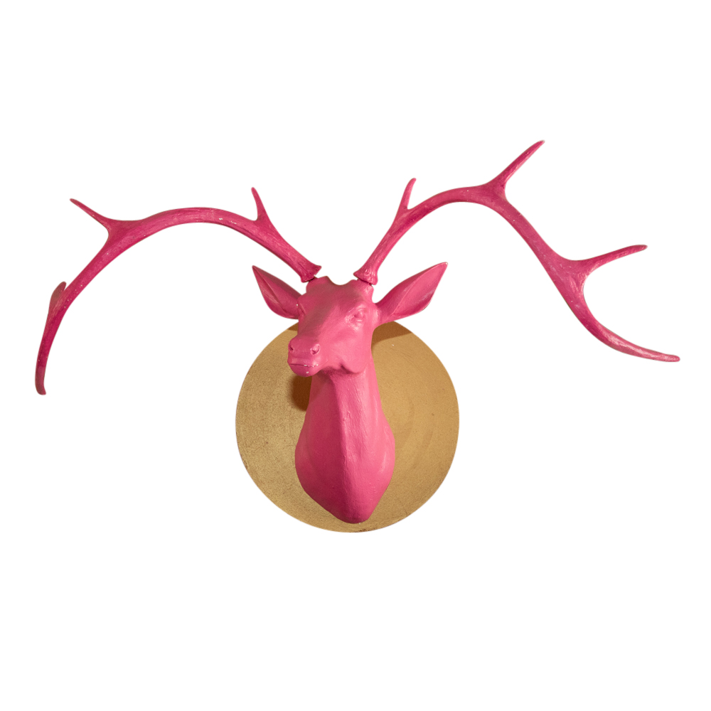 Contemporary Molded Pink Elk/Deer Head Mounted to a Wood Frame