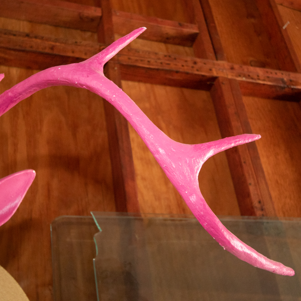 Contemporary Molded Pink Elk/Deer Head Mounted to a Wood Frame