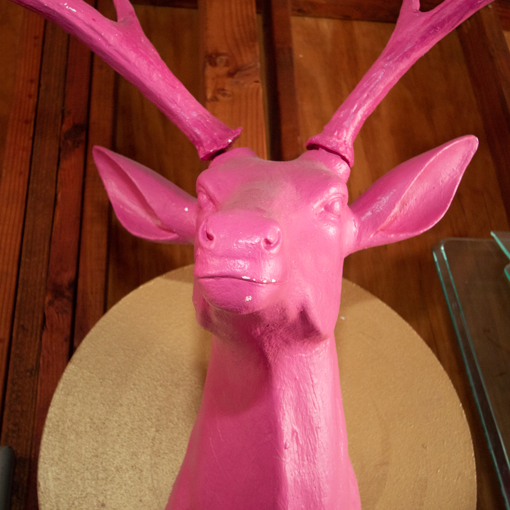 Contemporary Molded Pink Elk/Deer Head Mounted to a Wood Frame