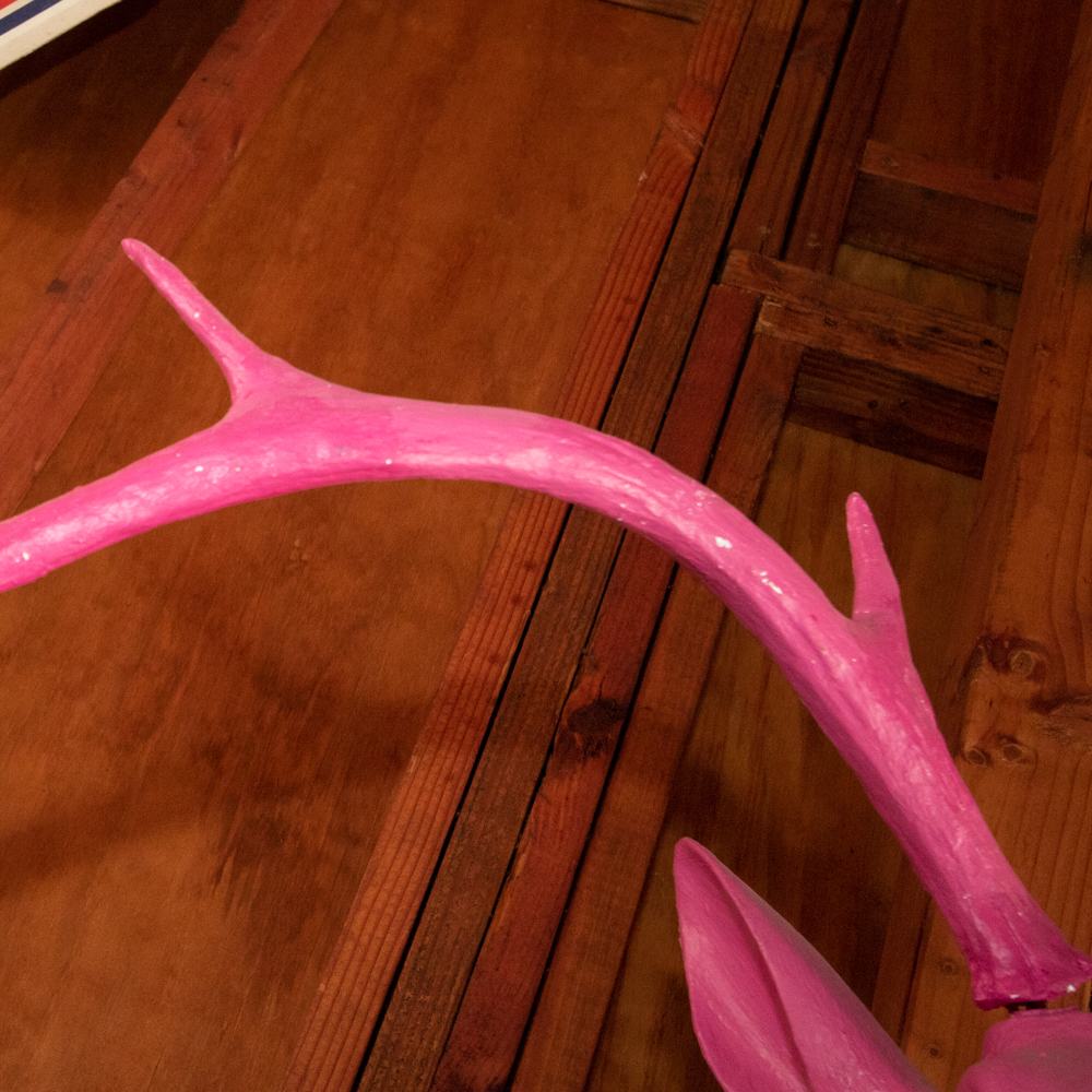 Contemporary Molded Pink Elk/Deer Head Mounted to a Wood Frame