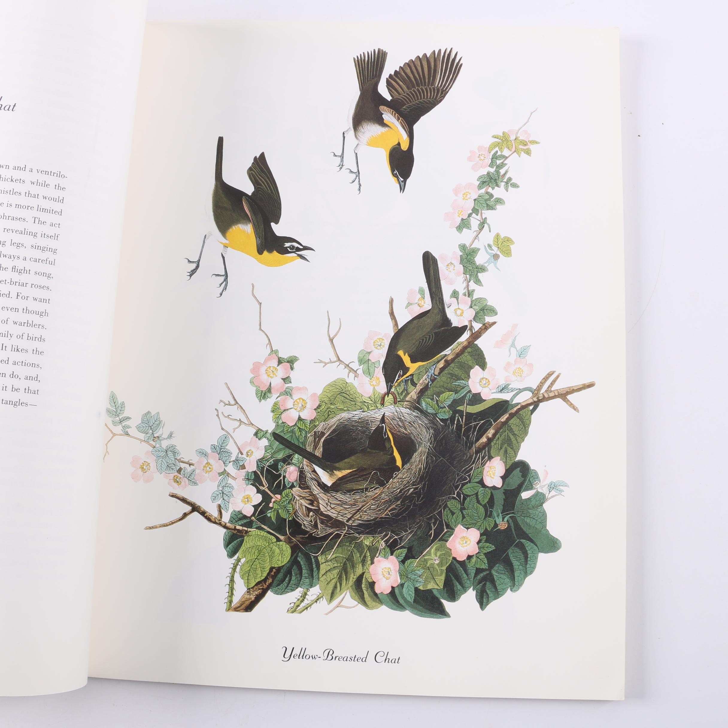 1978 "50 Audubon Birds of America" by Roger Tory Peterson
