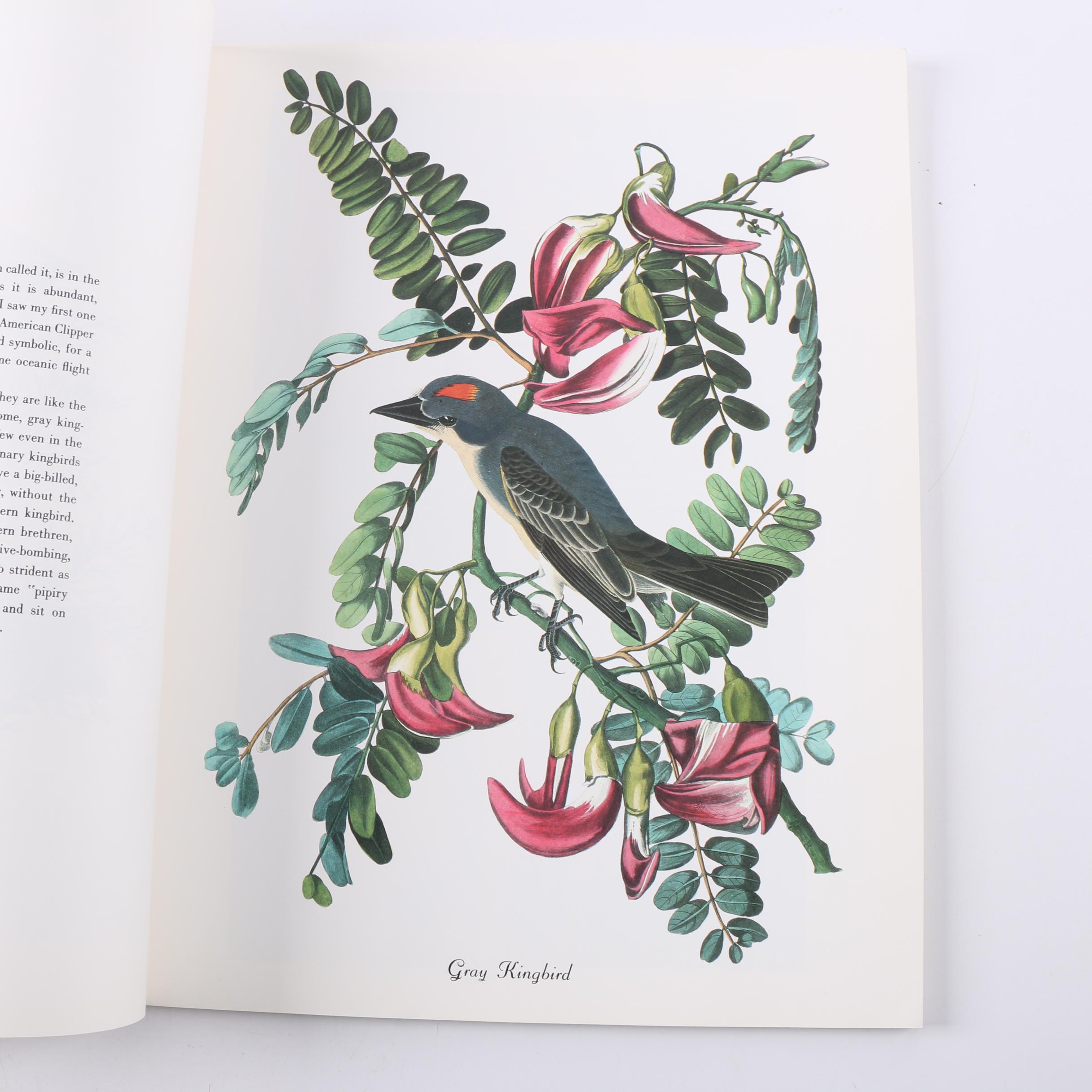 1978 "50 Audubon Birds of America" by Roger Tory Peterson