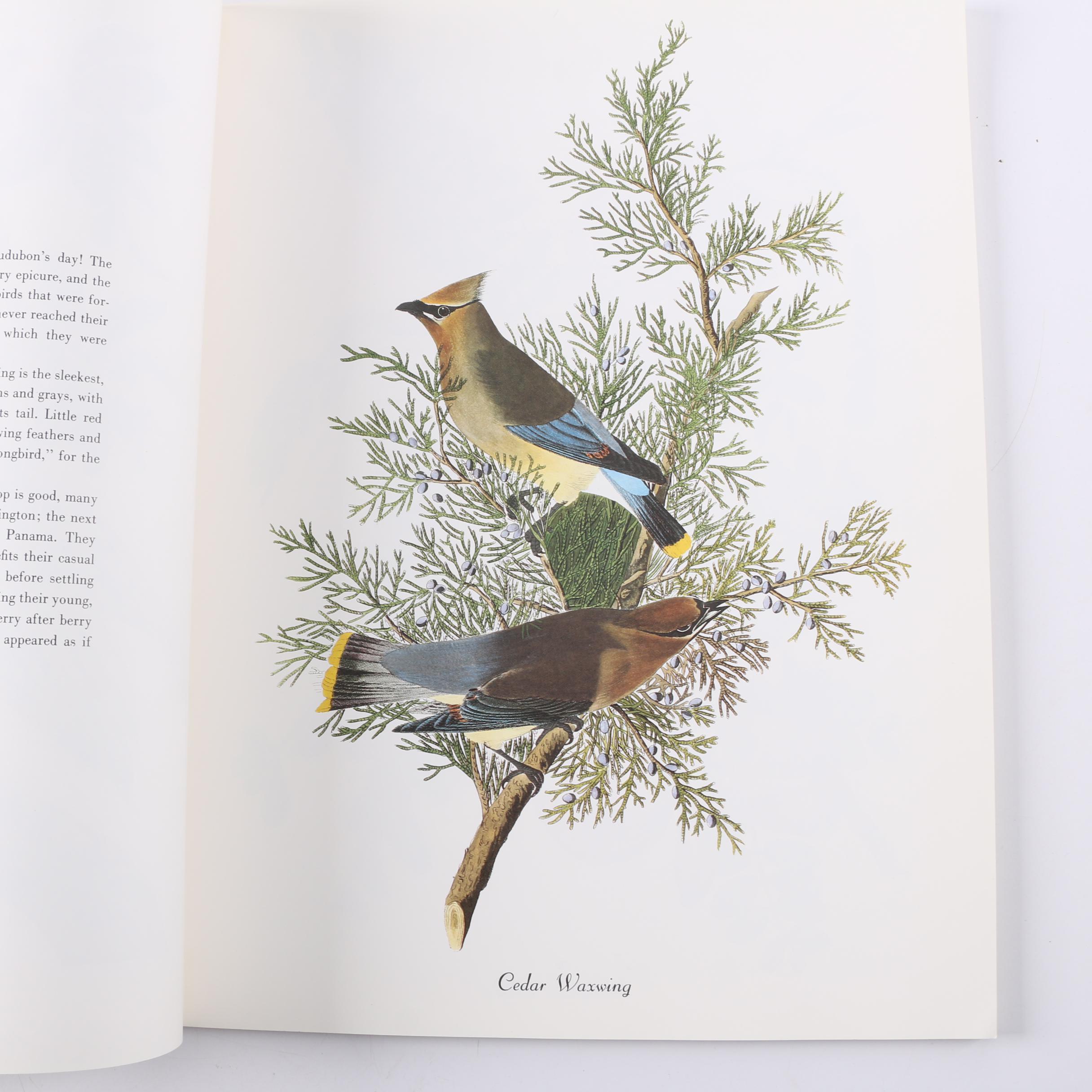 1978 "50 Audubon Birds of America" by Roger Tory Peterson