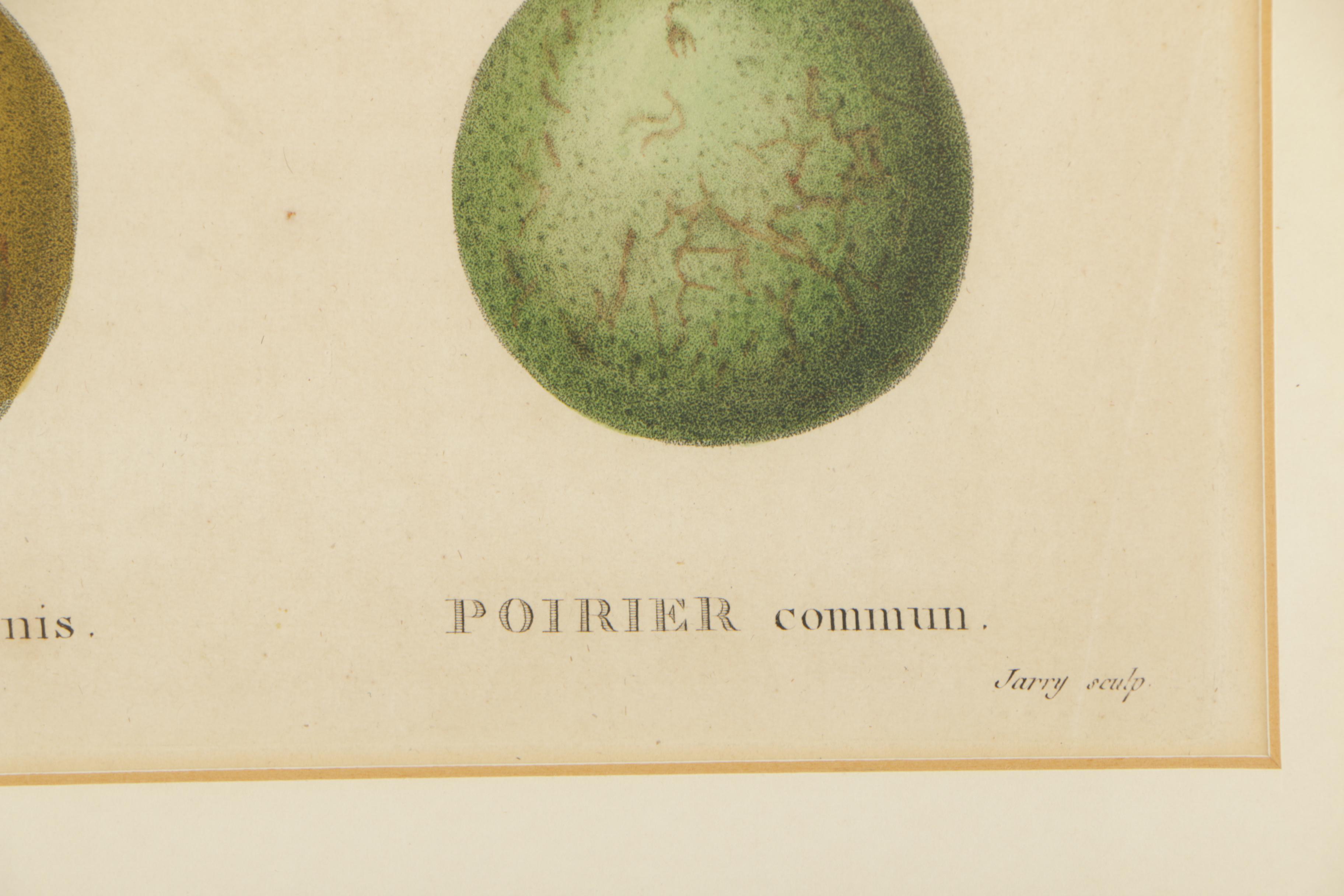 Pancrace Bessa Color Etchings of Pears
