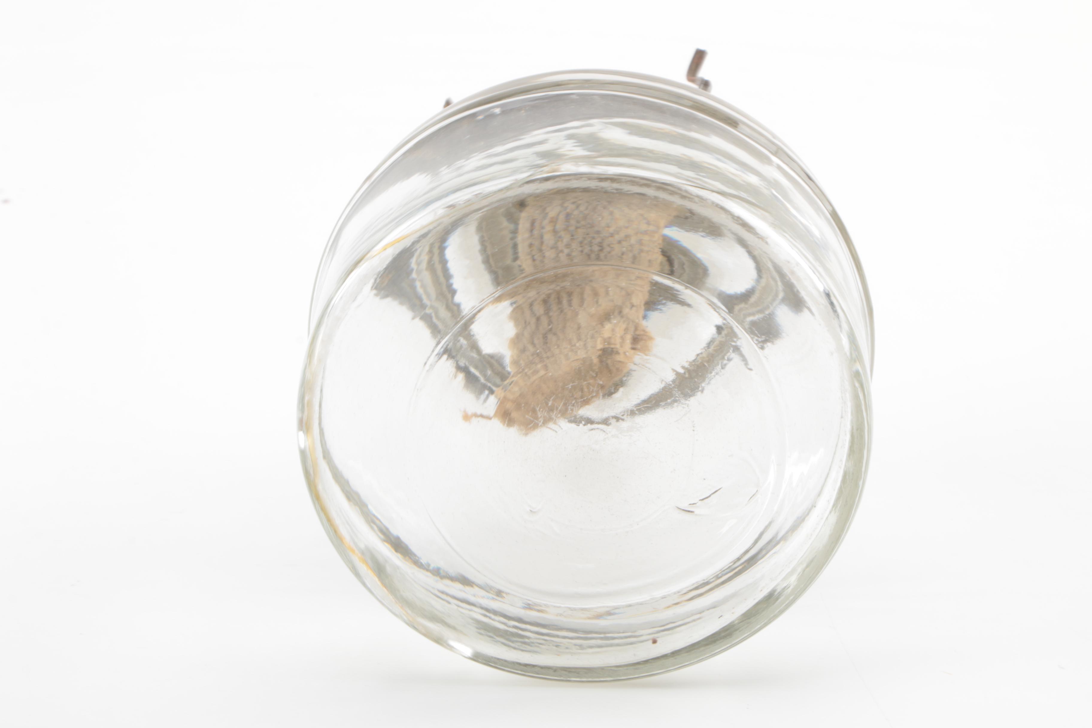 Converted Electric and Oil Lamps