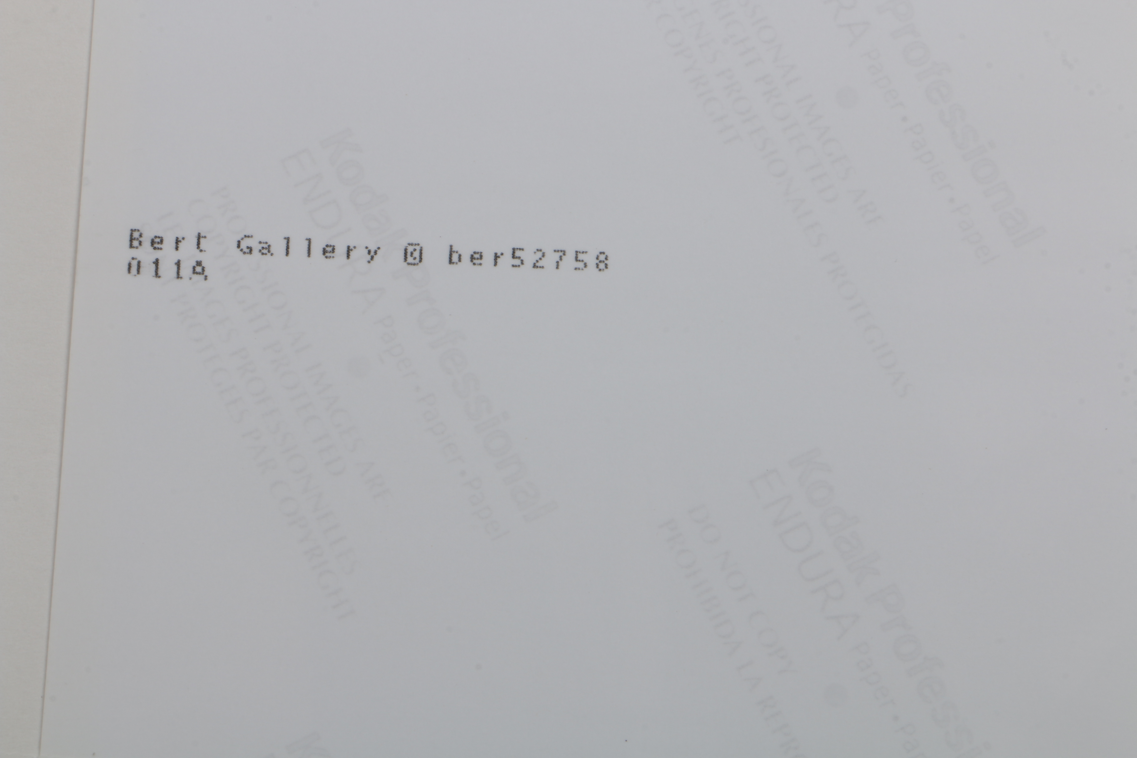 Carmel Vitullo Limited Edition Photograph Print "Lunch Break"