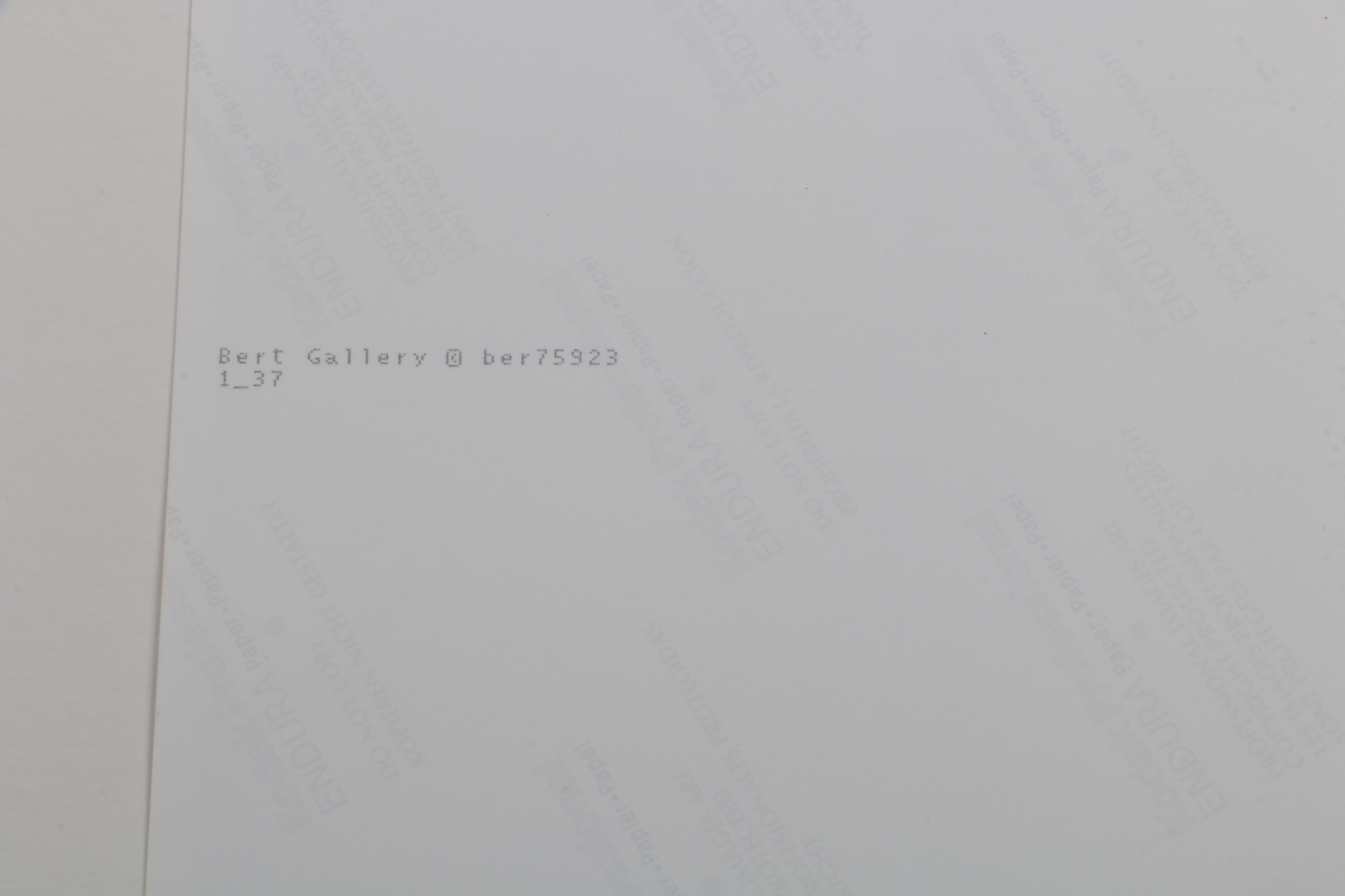 Carmel Vitullo Limited Edition Photograph Print "Playfellows"