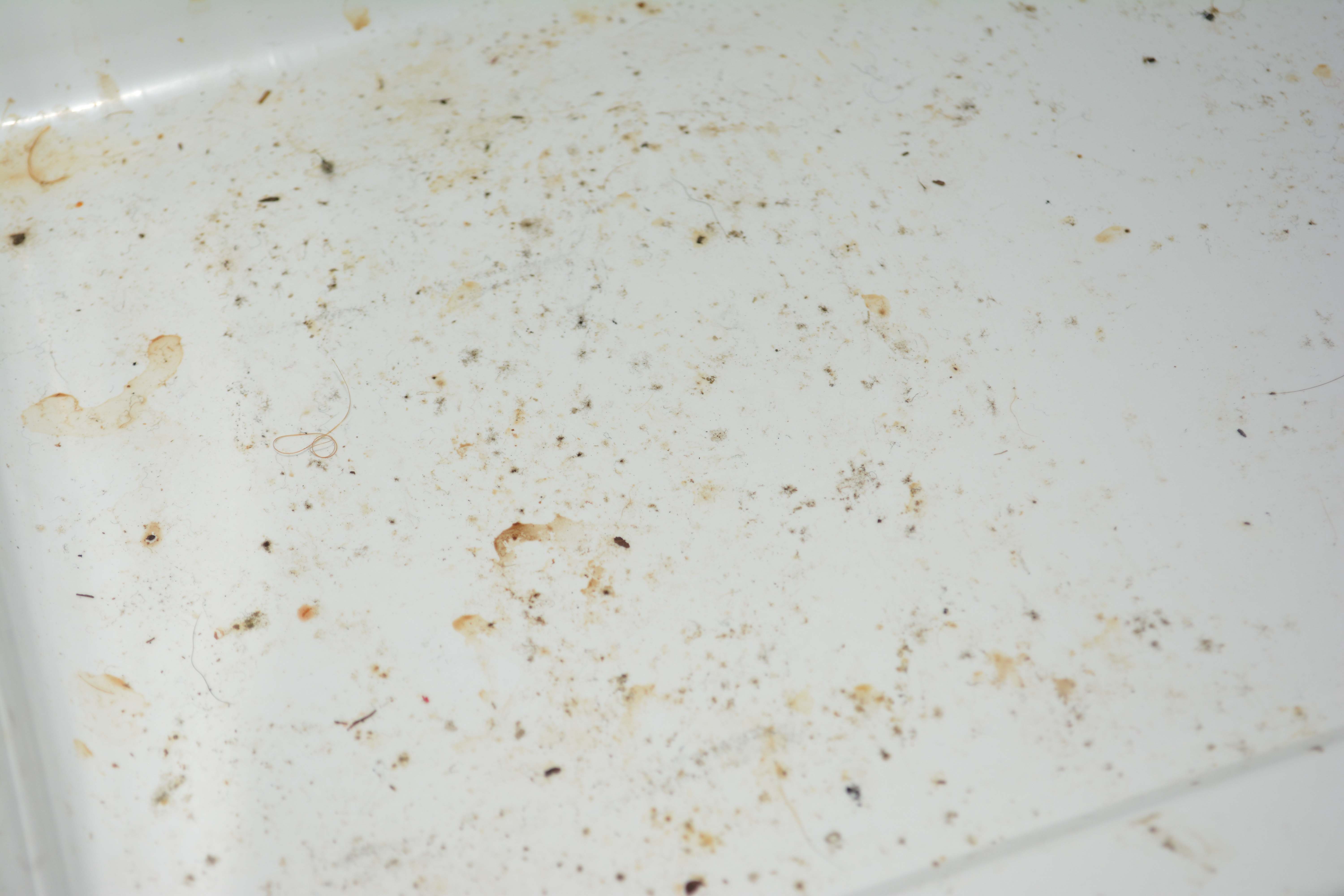 Haier Mini Refrigerator