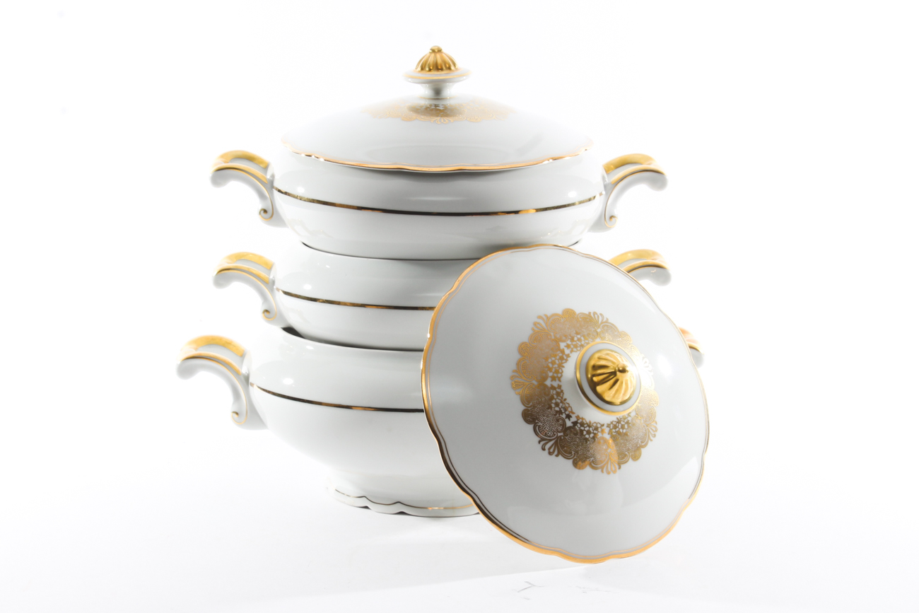 Vintage Mitterteich Bavaria Dinnerware Set with Glass Salad Plates