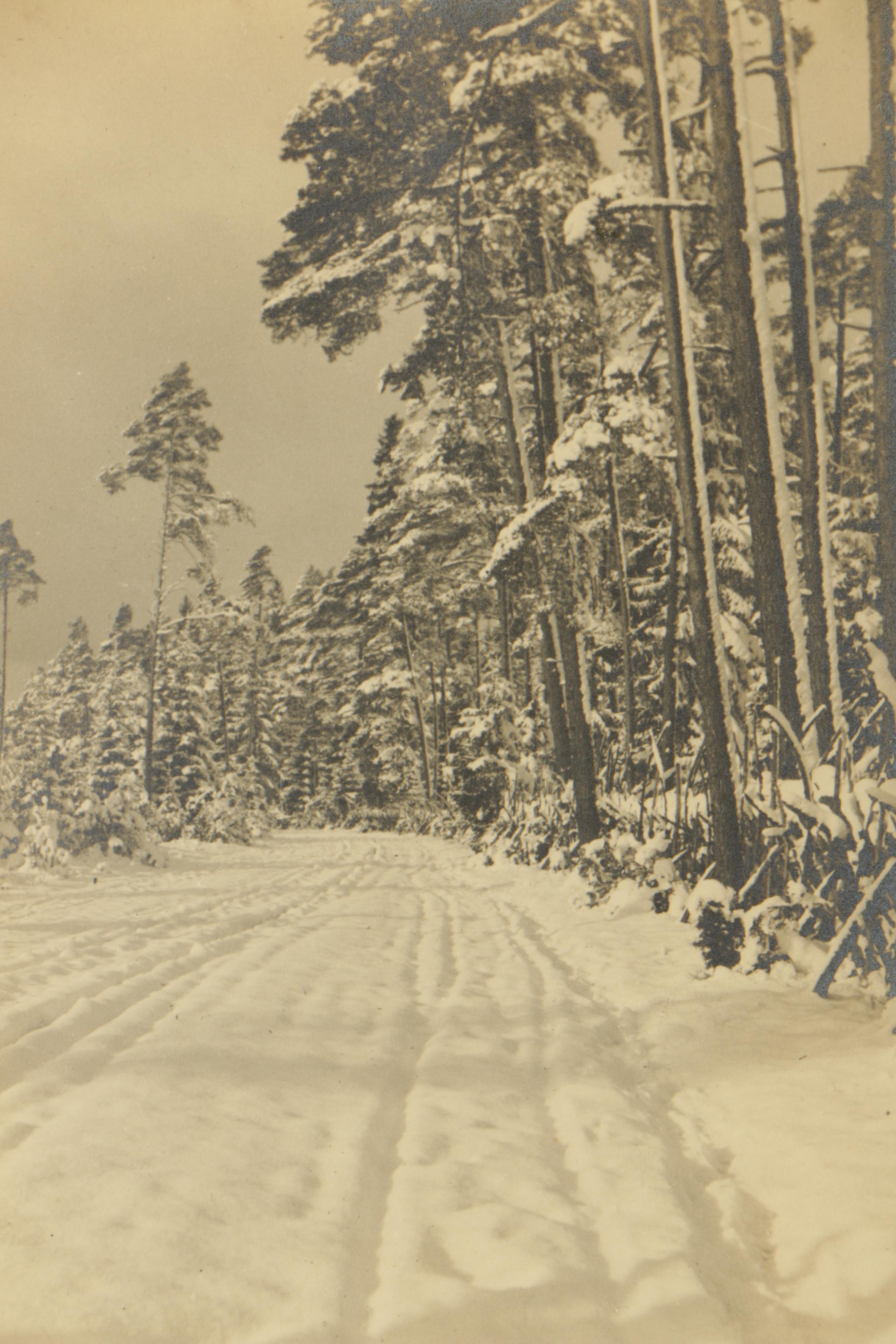 Gelatin-Silver Photographs of Landscapes