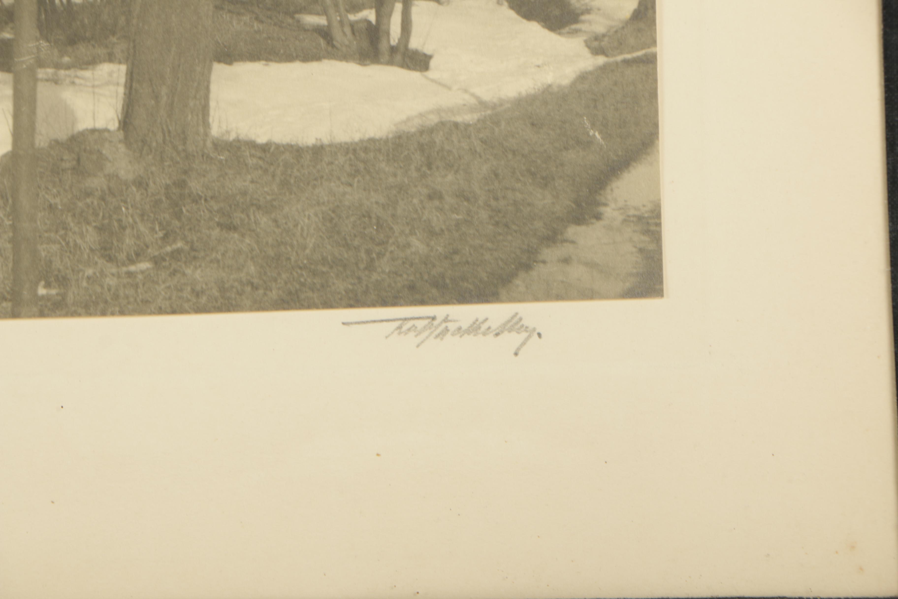 Gelatin-Silver Photographs of Landscapes