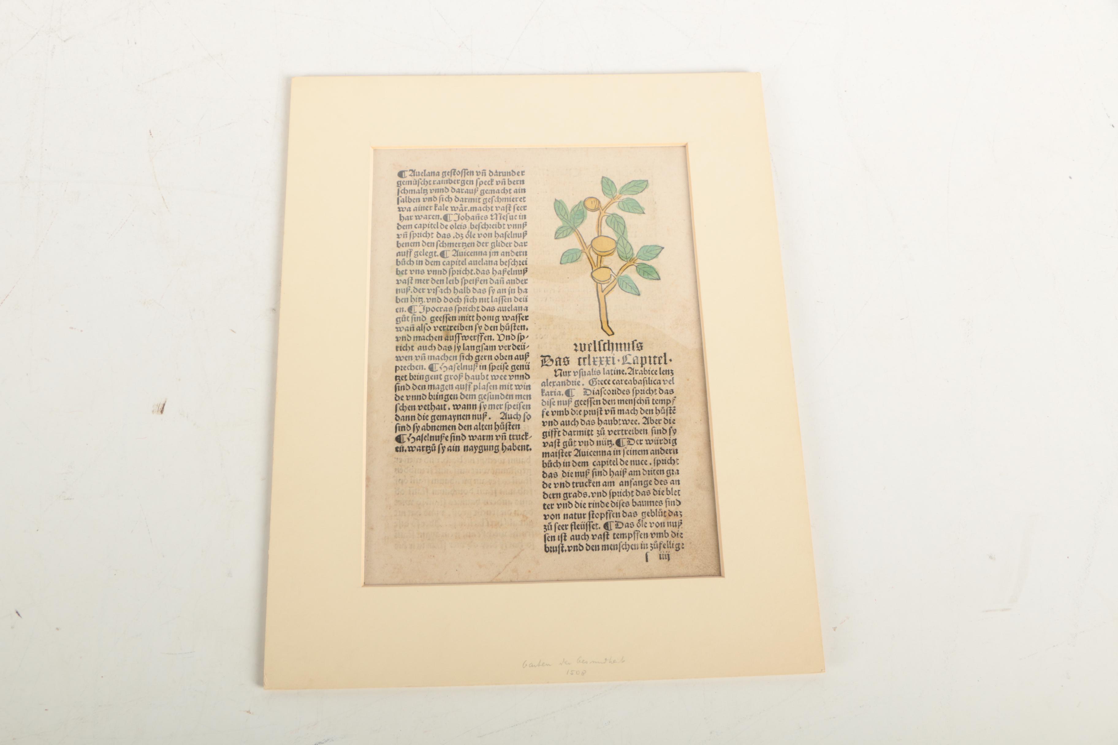 Assortment of Intaglio Prints