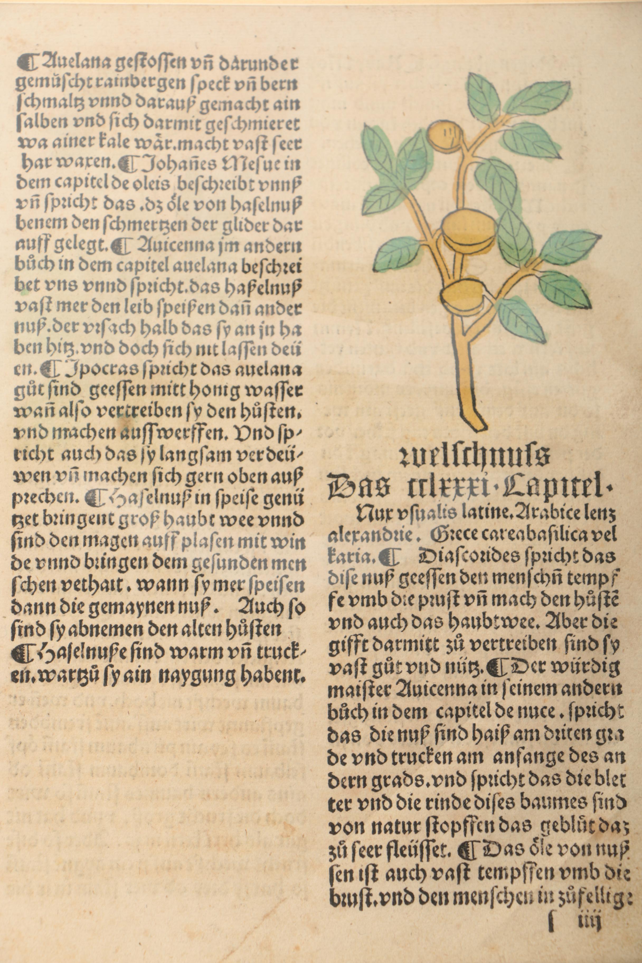 Assortment of Intaglio Prints