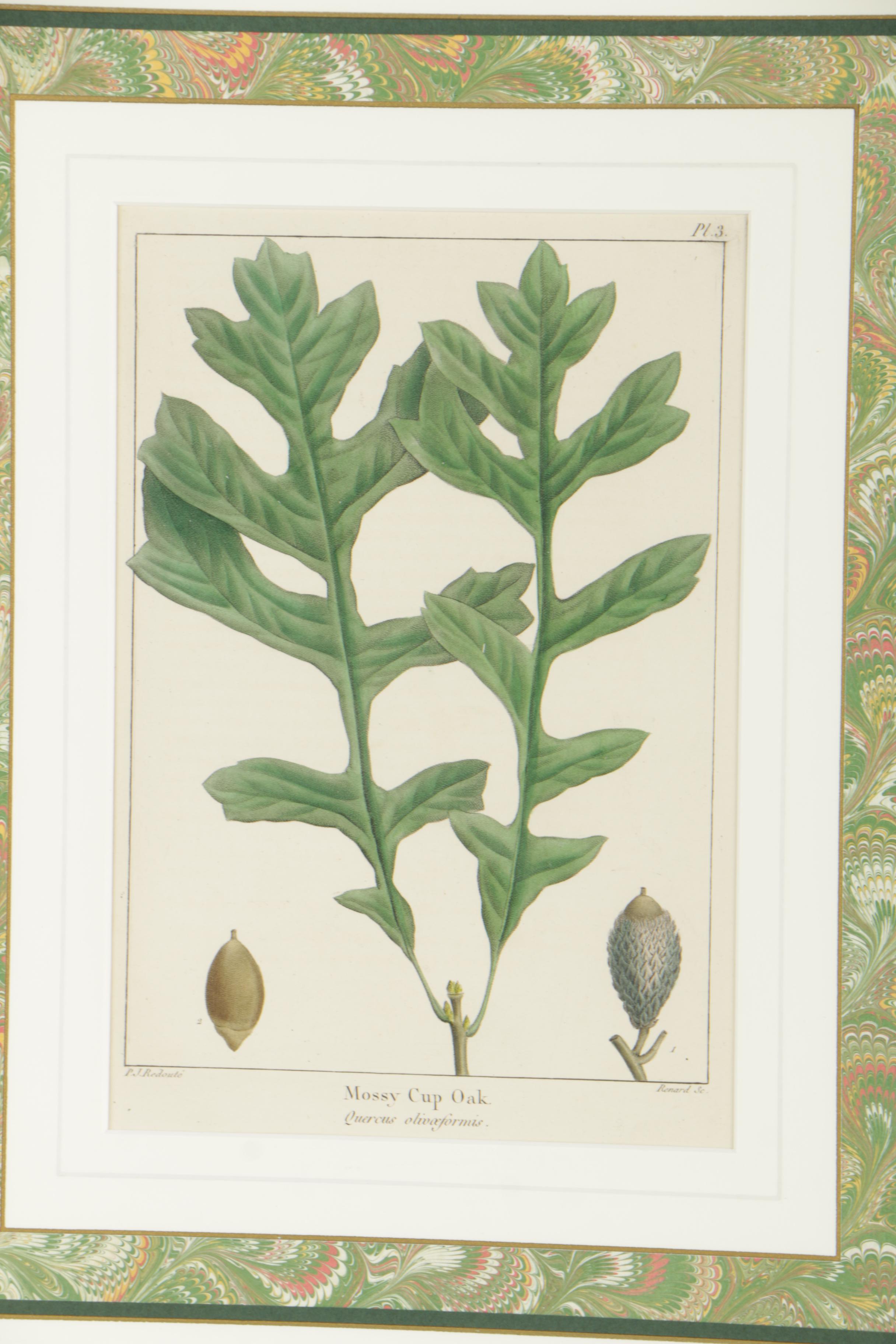 Hand-Colored Botanical Etchings After Henri-Joseph Redouté and Pancrace Bessa