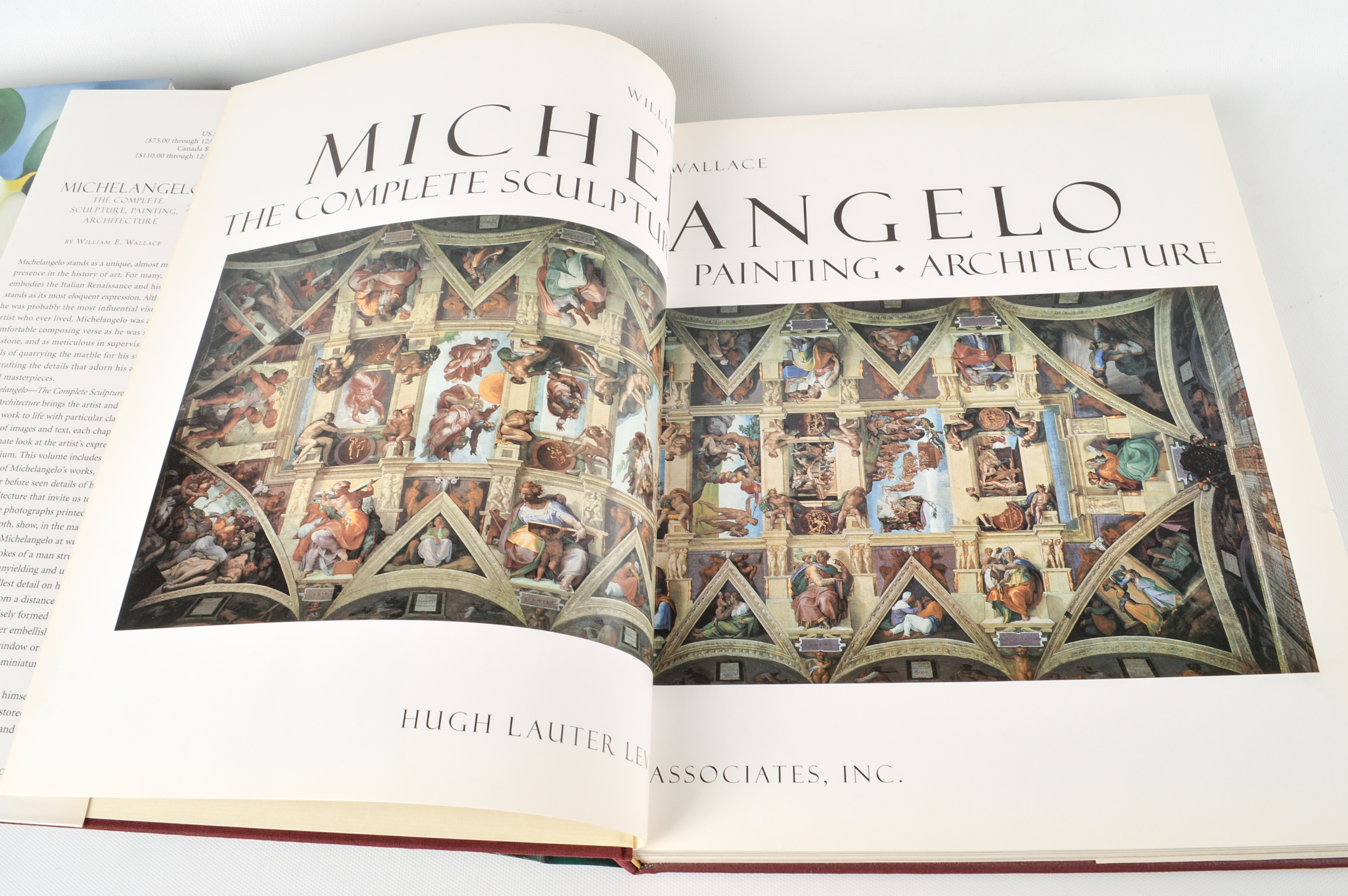 Freud, O'Keeffe and Michelangelo Coffee Table Books