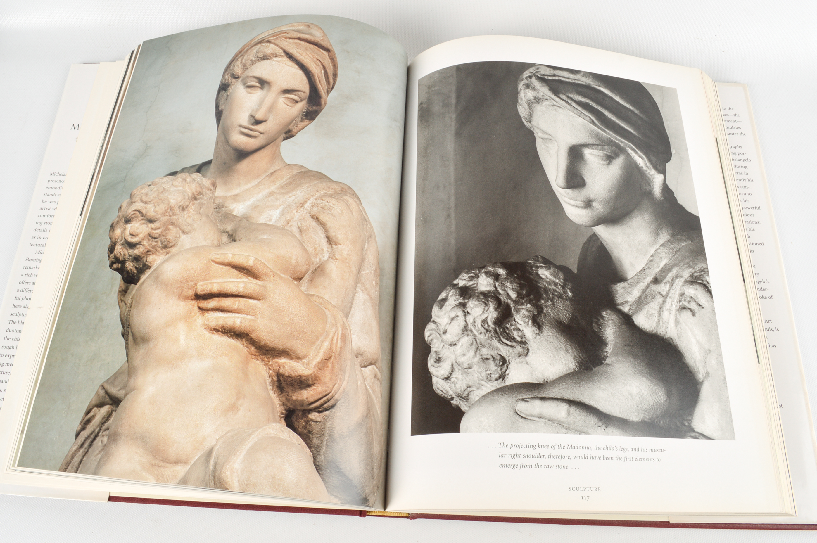 Freud, O'Keeffe and Michelangelo Coffee Table Books
