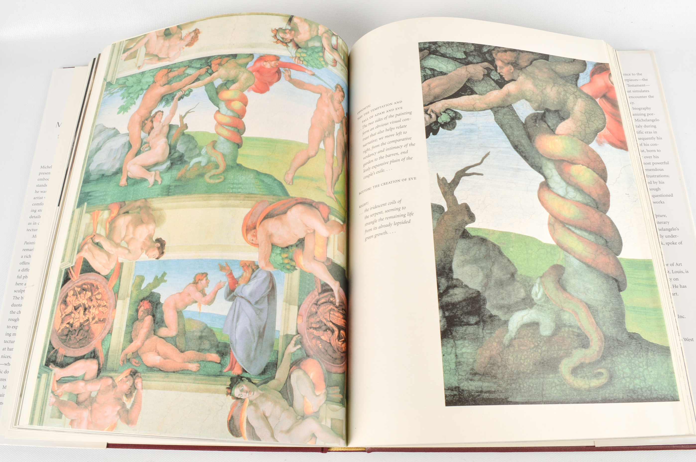 Freud, O'Keeffe and Michelangelo Coffee Table Books