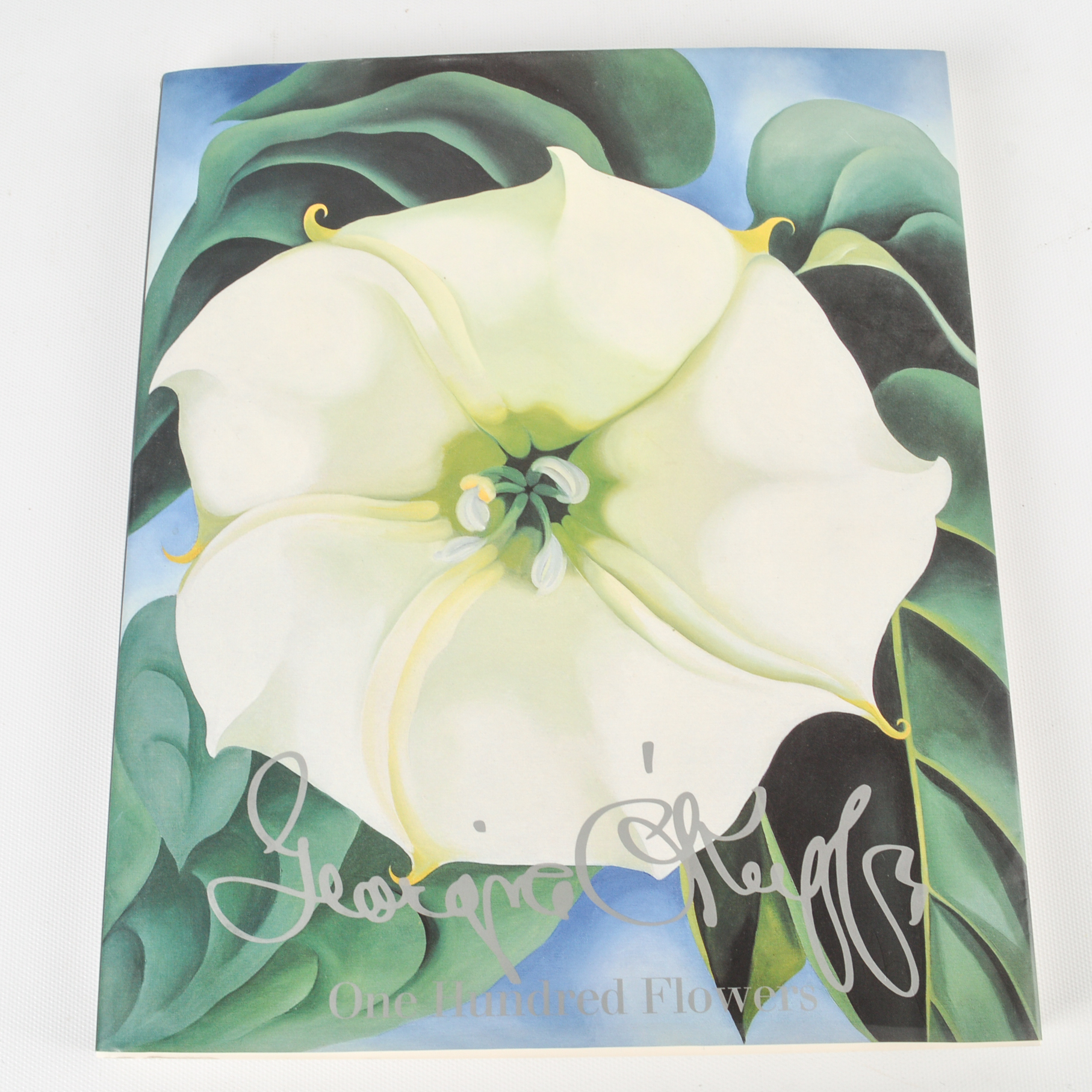 Freud, O'Keeffe and Michelangelo Coffee Table Books