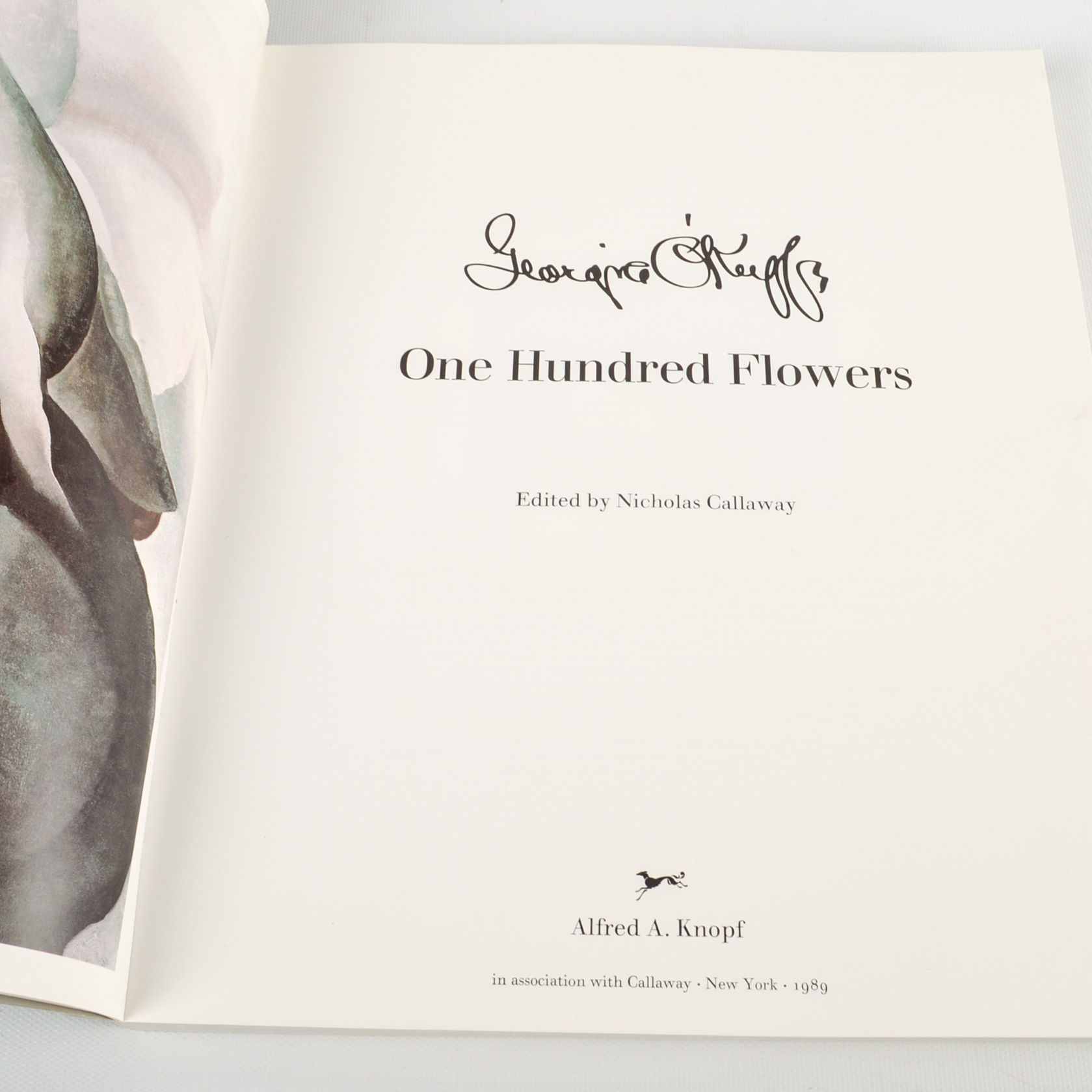 Freud, O'Keeffe and Michelangelo Coffee Table Books