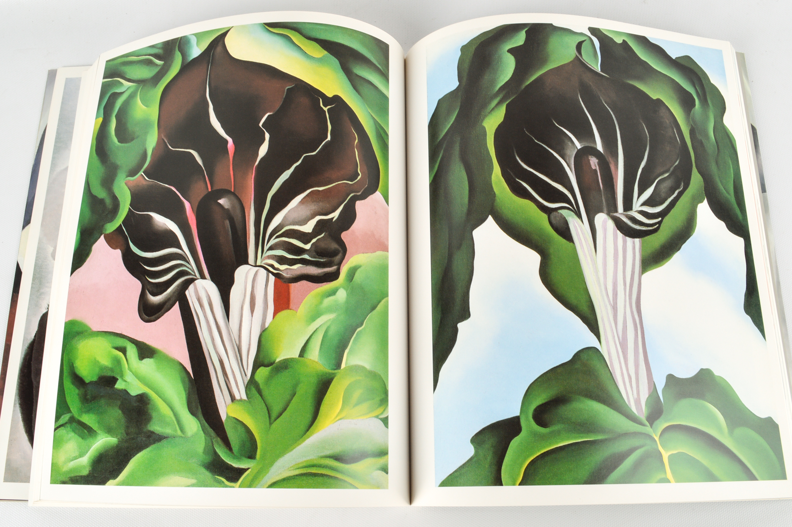 Freud, O'Keeffe and Michelangelo Coffee Table Books