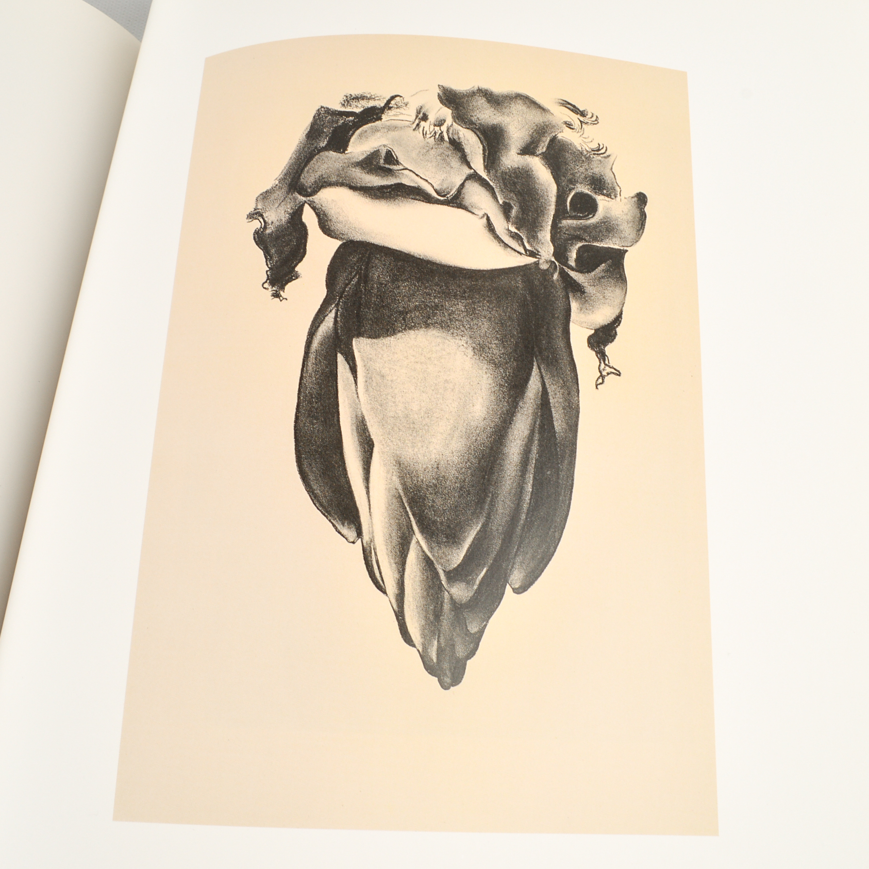 Freud, O'Keeffe and Michelangelo Coffee Table Books