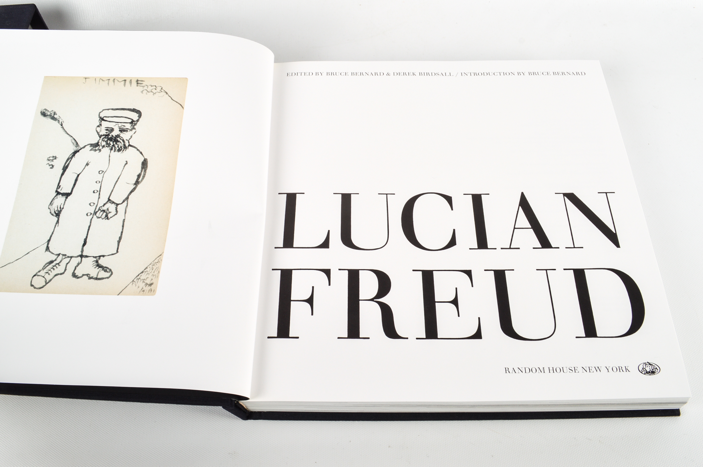 Freud, O'Keeffe and Michelangelo Coffee Table Books
