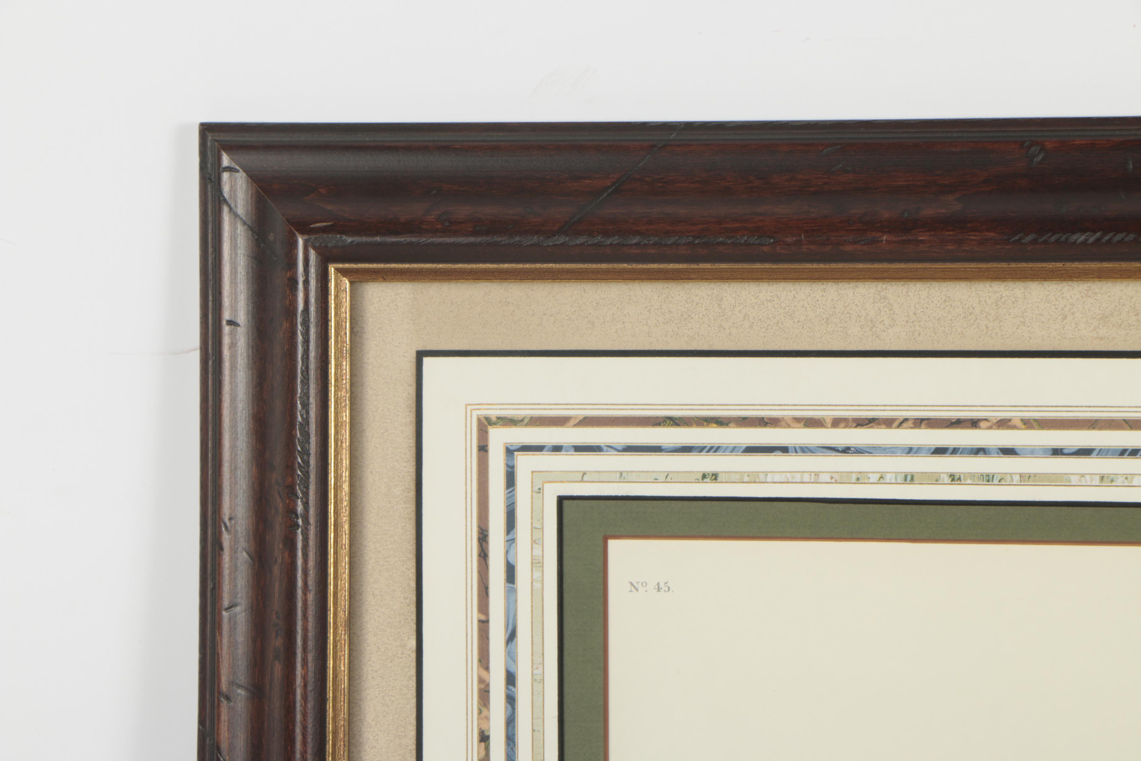 Collotype Reproduction Print After J.J. Audubon "Mallard Duck"