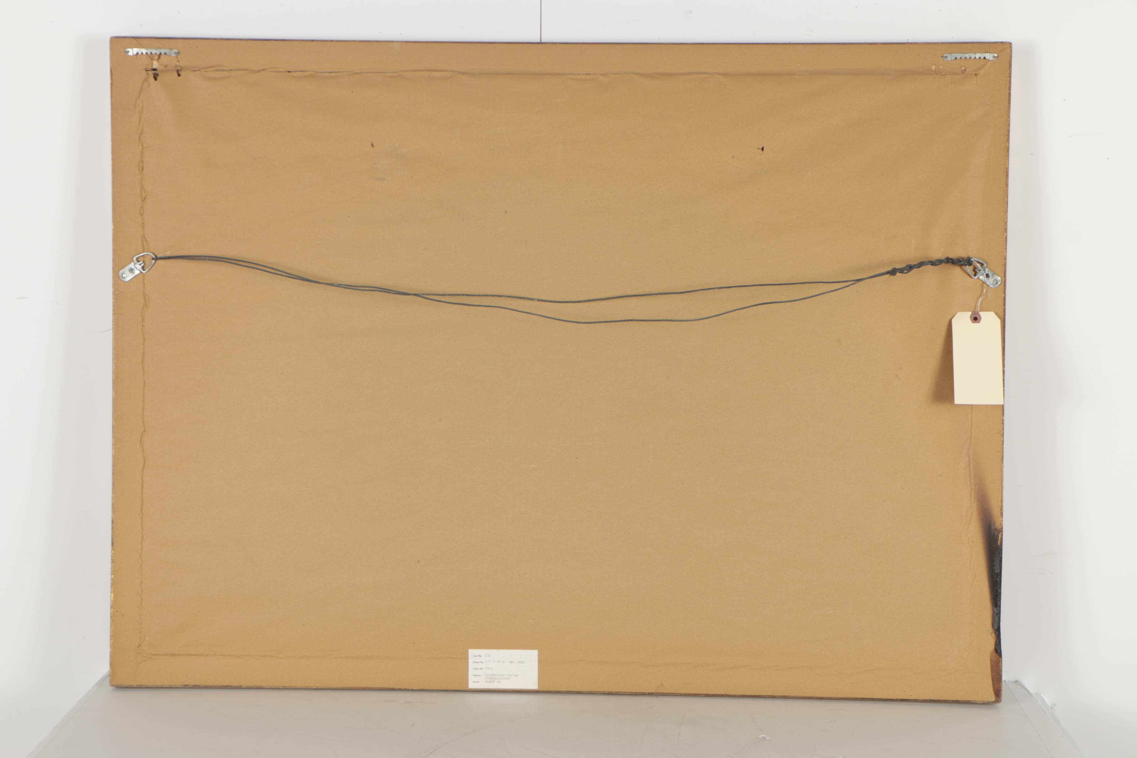 Color Engraving After John James Audubon "Longbilled Curlew"